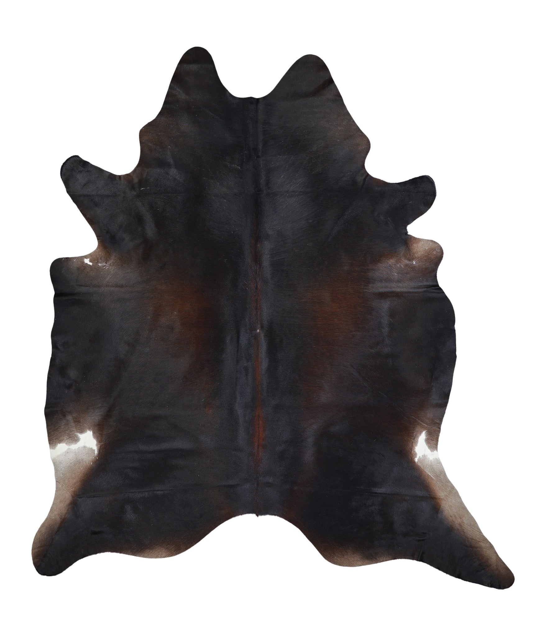 Chocolate XX-Large Brazilian Cowhide Rug 8'1H x 7'2W #A17370 by Hudson  Hides