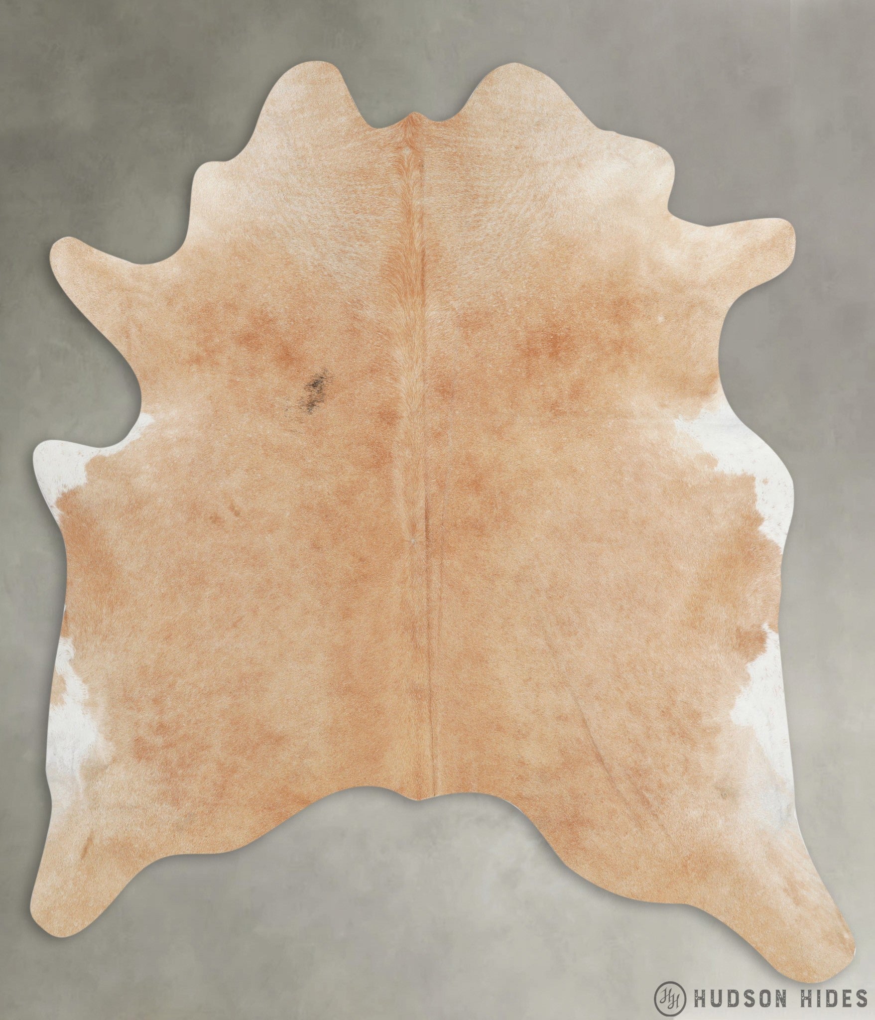 Beige X-Large Cowhide Rug #29153