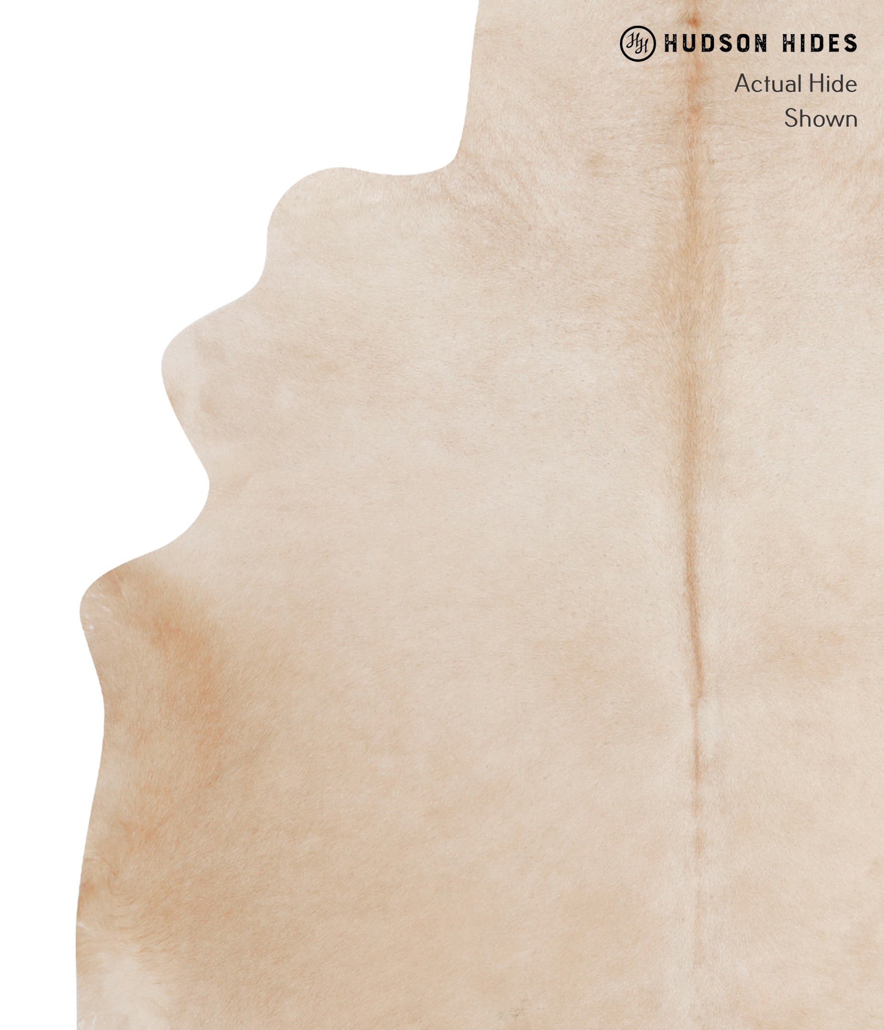 Palomino Cowhide Rug #A12462