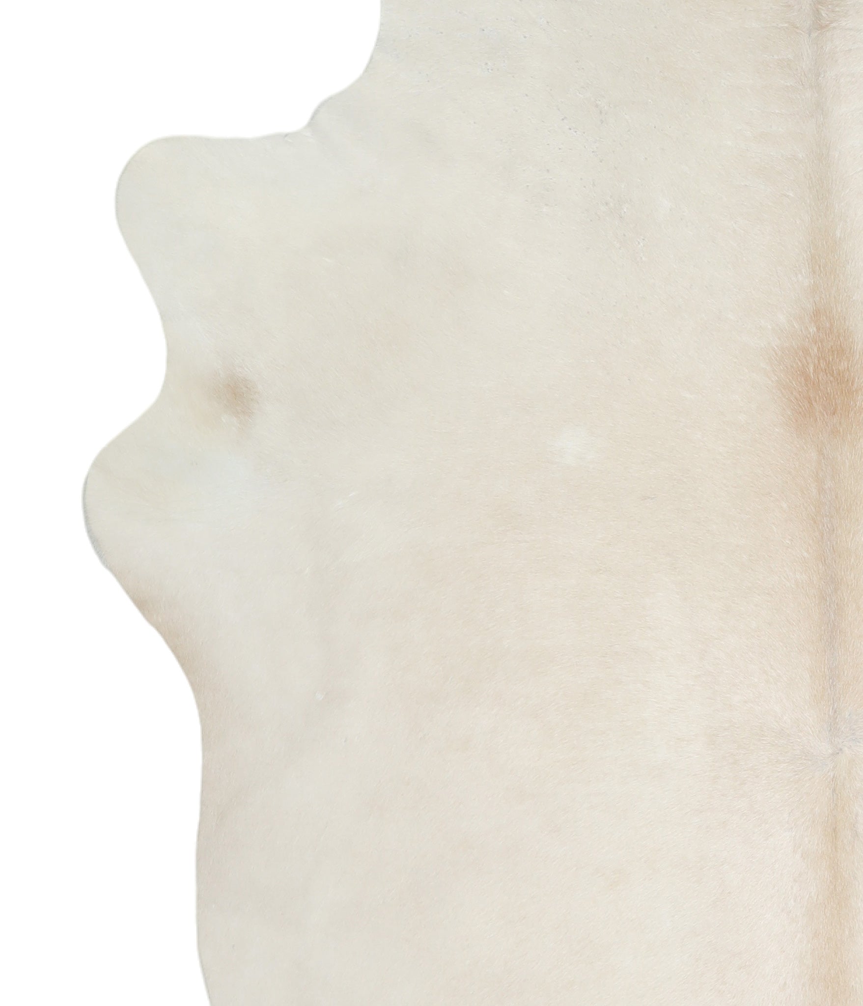 Palomino Cowhide Rug #A16713