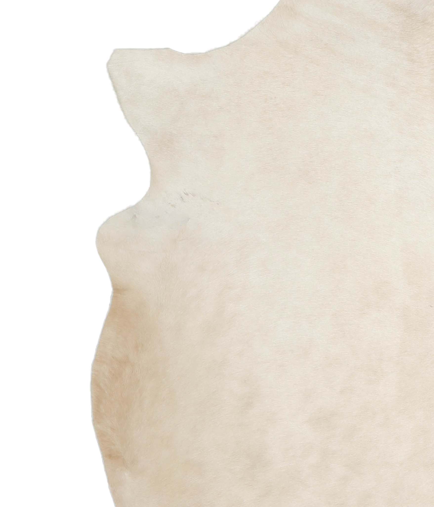 Palomino Cowhide Rug #A19806