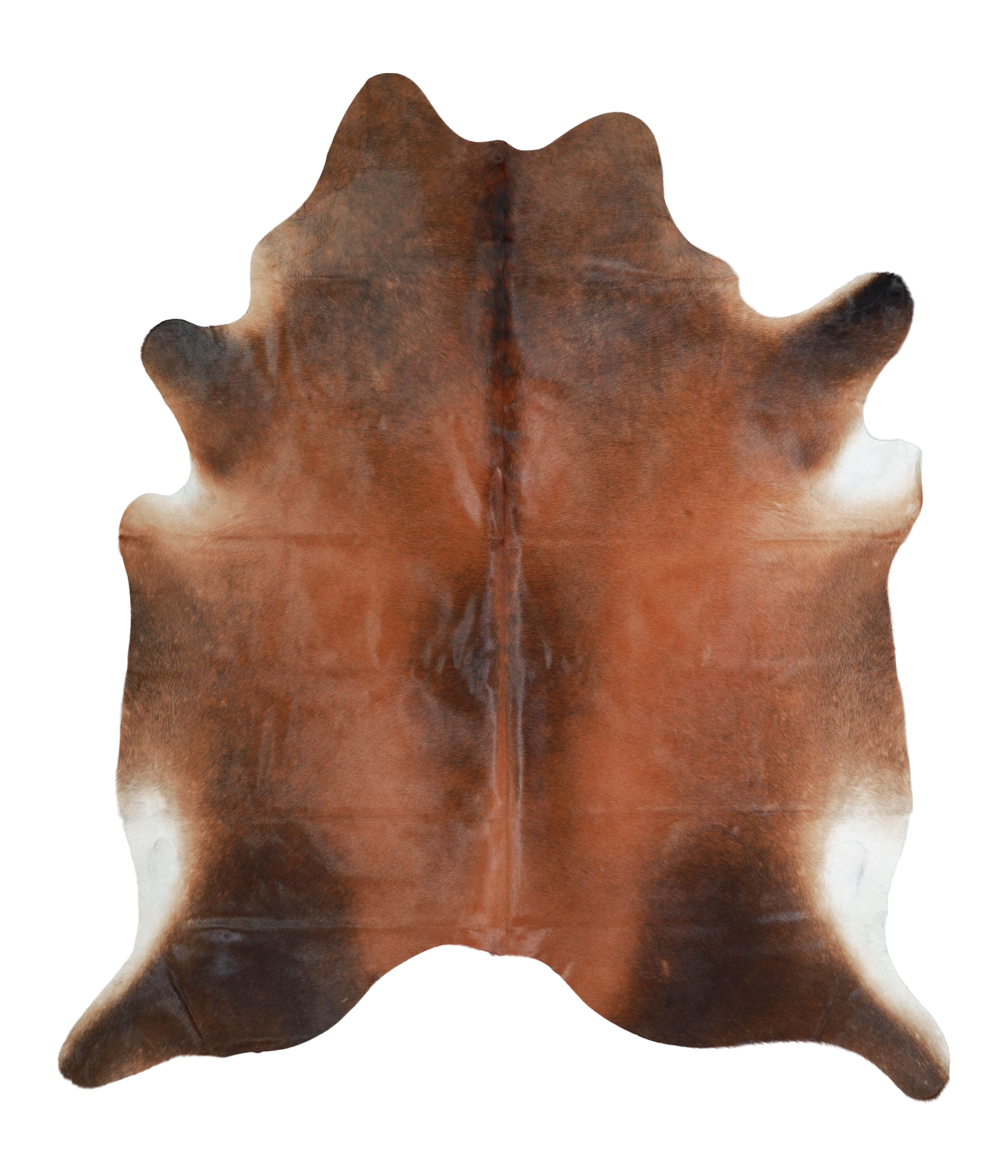 Brown with Red Cowhide Rug #A20588