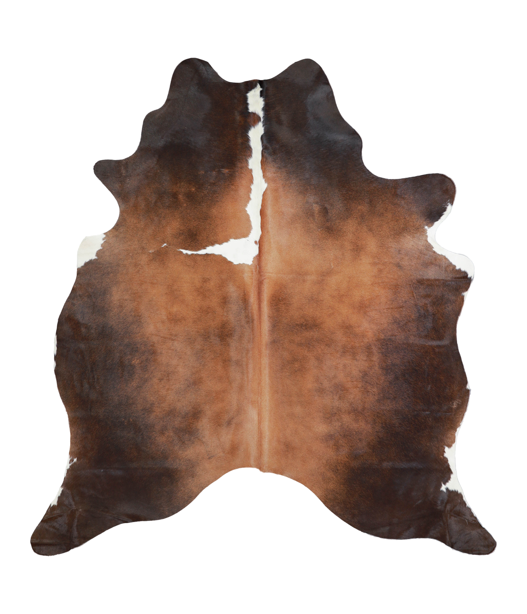 Chocolate and White Cowhide Rug #A20637