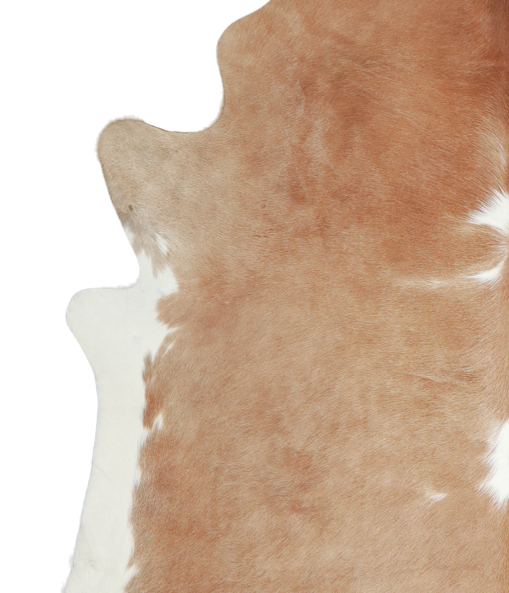 Beige and White Cowhide Rug #A20759