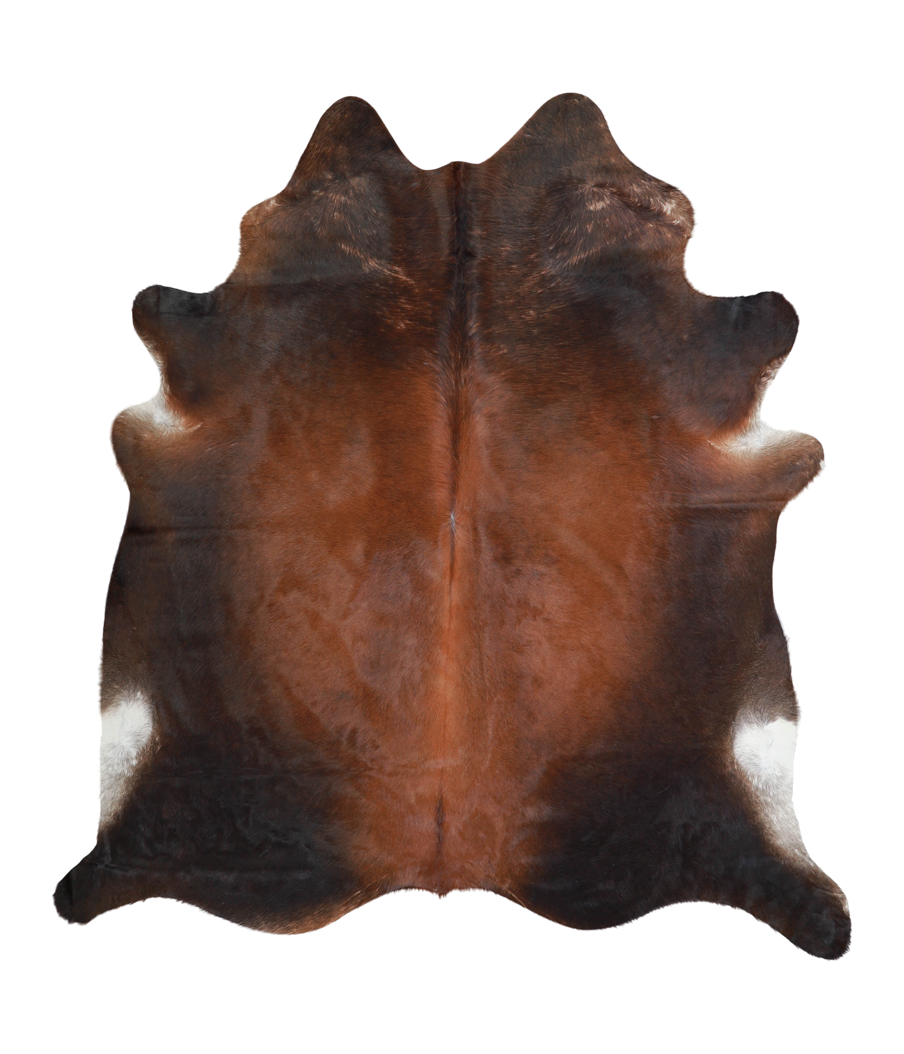 Brown with Red Cowhide Rug #A20785