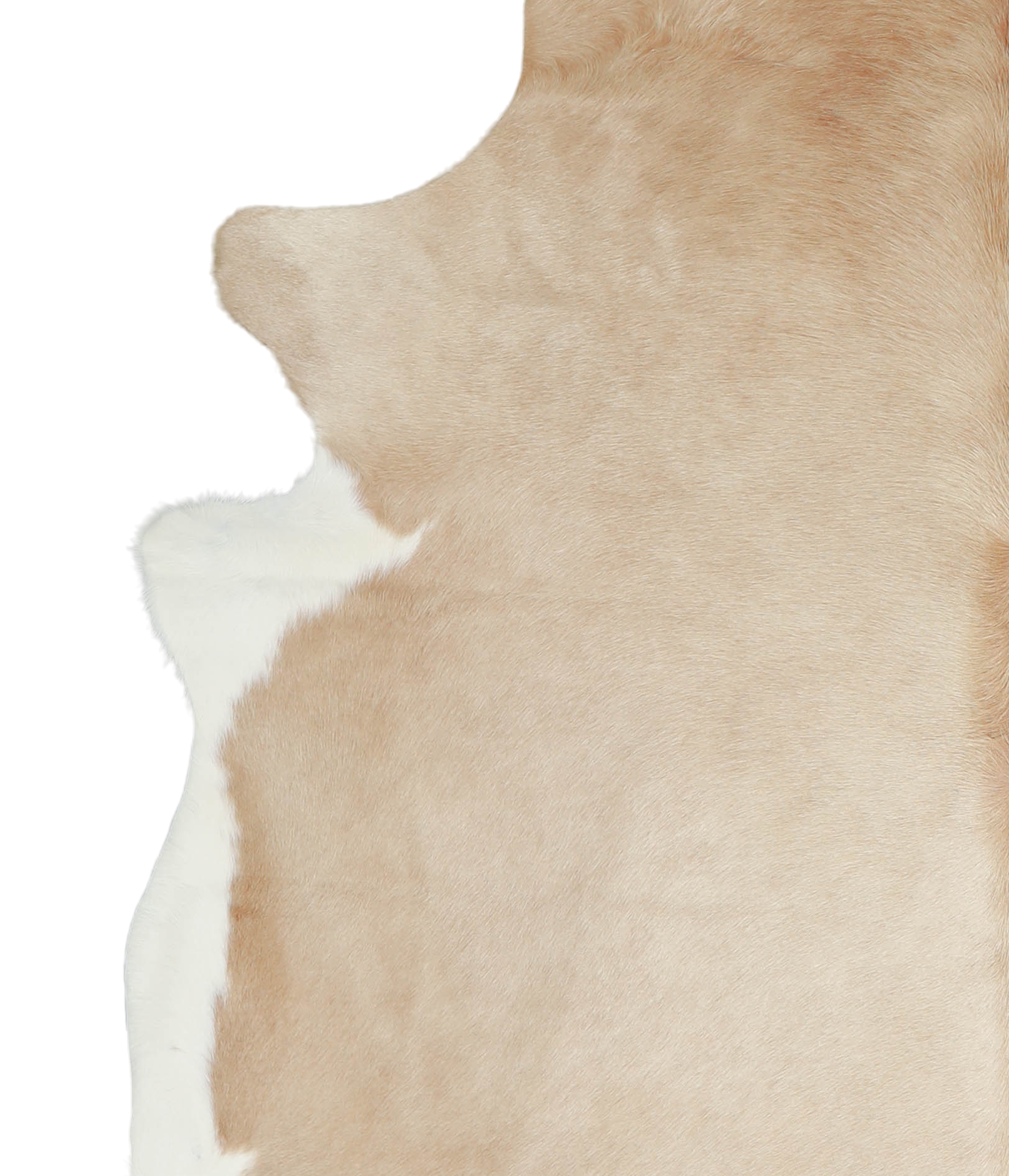 Beige and White Cowhide Rug #A20893