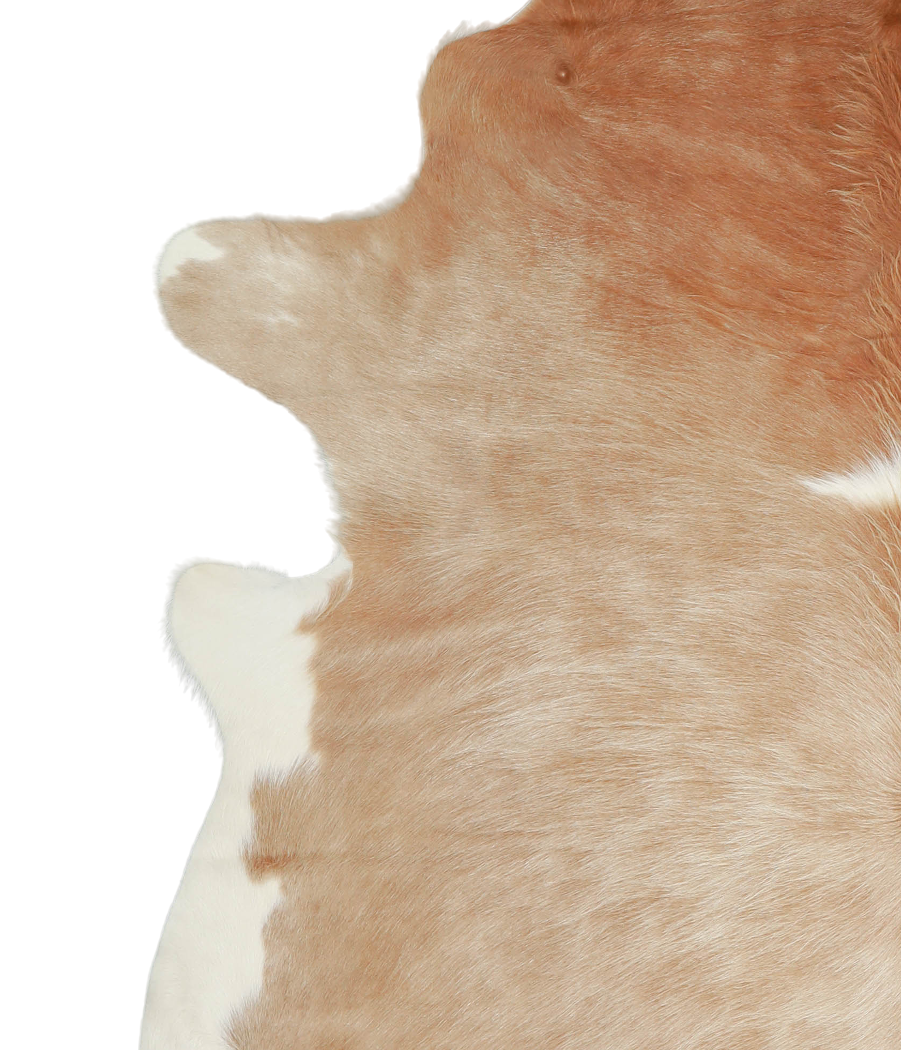 Beige and White Cowhide Rug #A20913