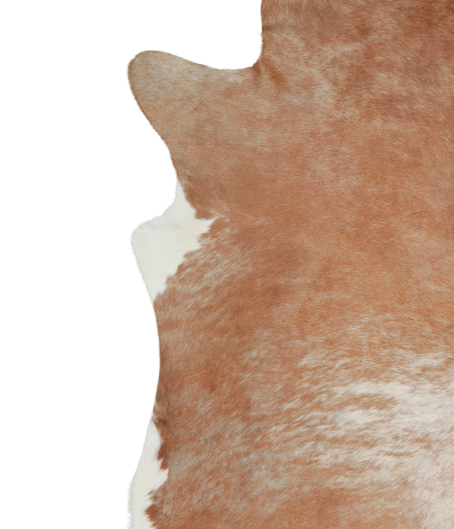 Caramel Cowhide Rug #A20938