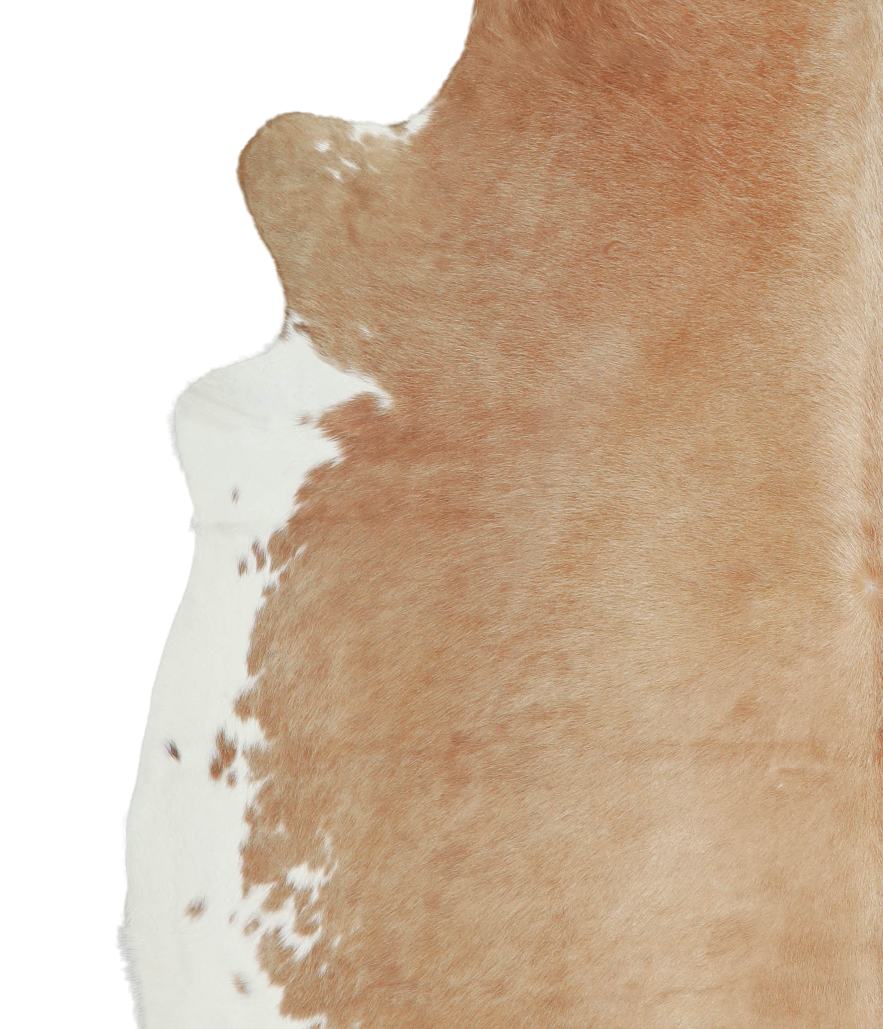 Beige and White Cowhide Rug #A20949