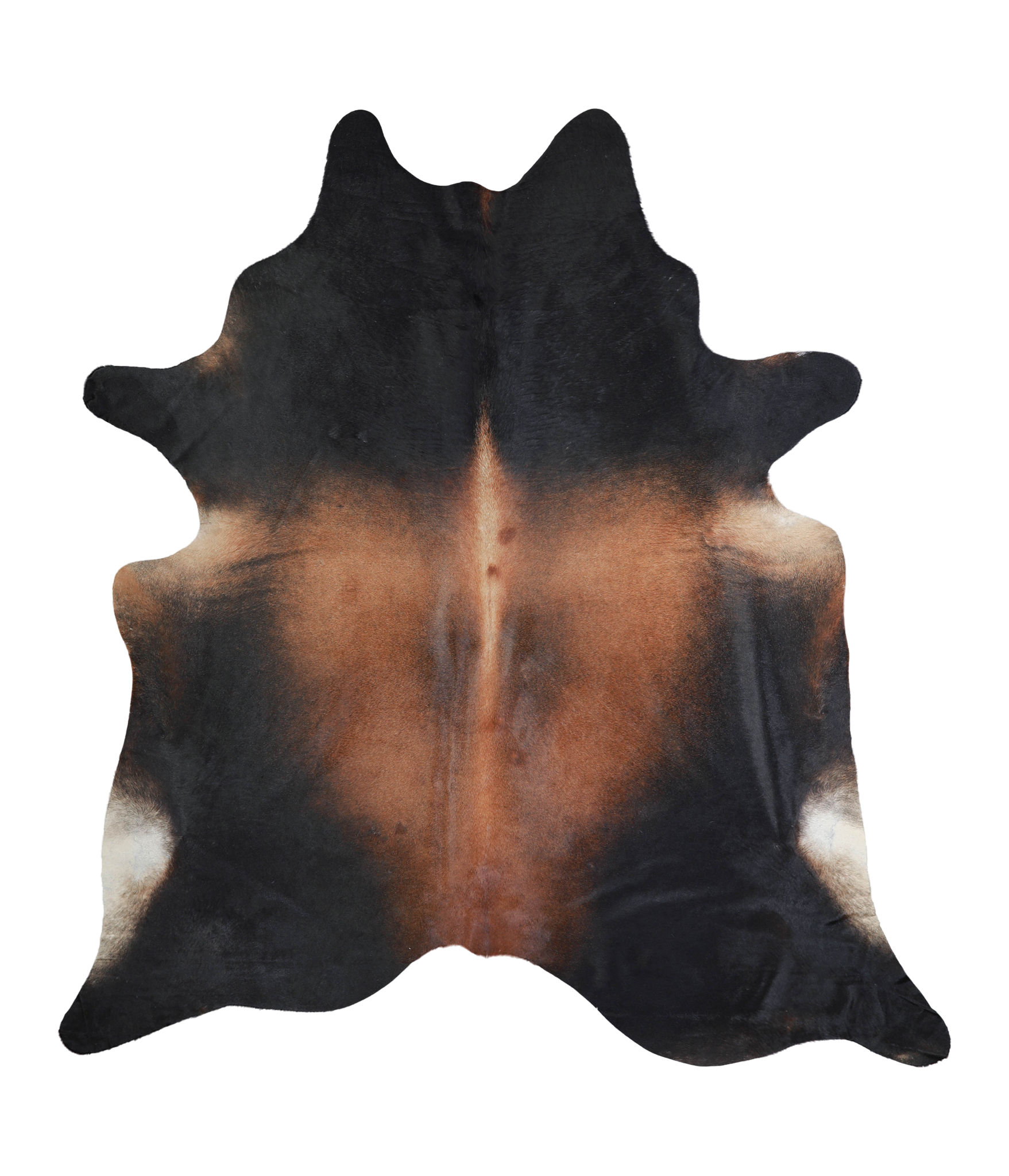 Brown with Red Cowhide Rug #A21031