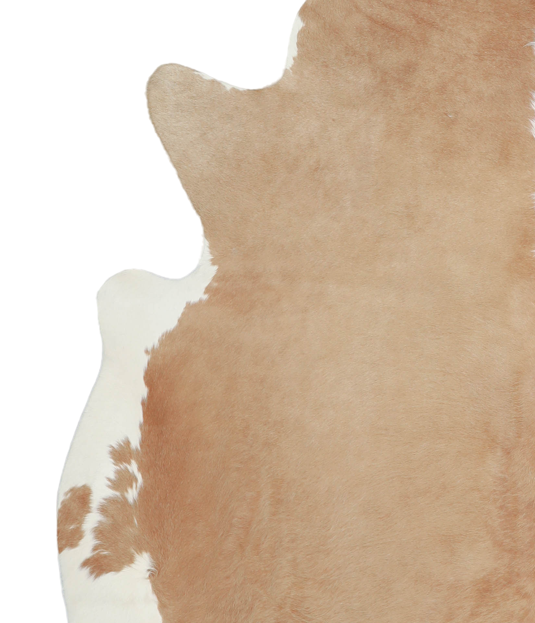 Beige and White Cowhide Rug #A21089