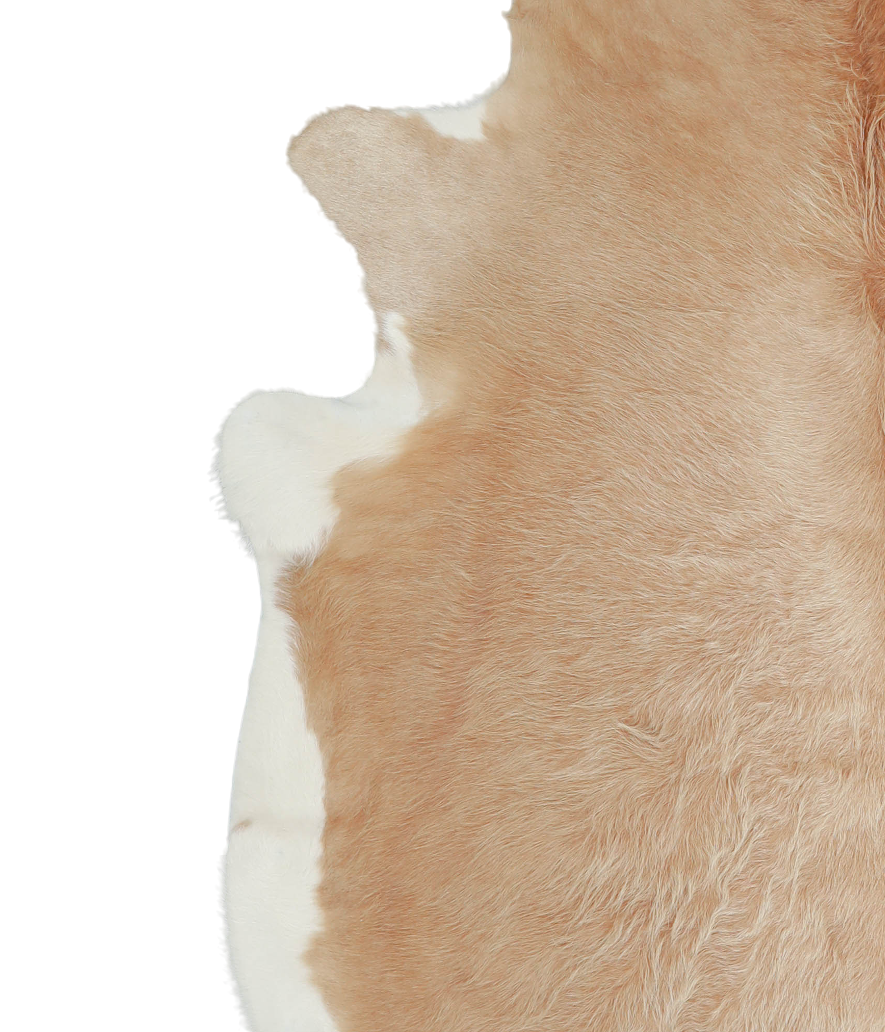 Beige and White Cowhide Rug #A21108