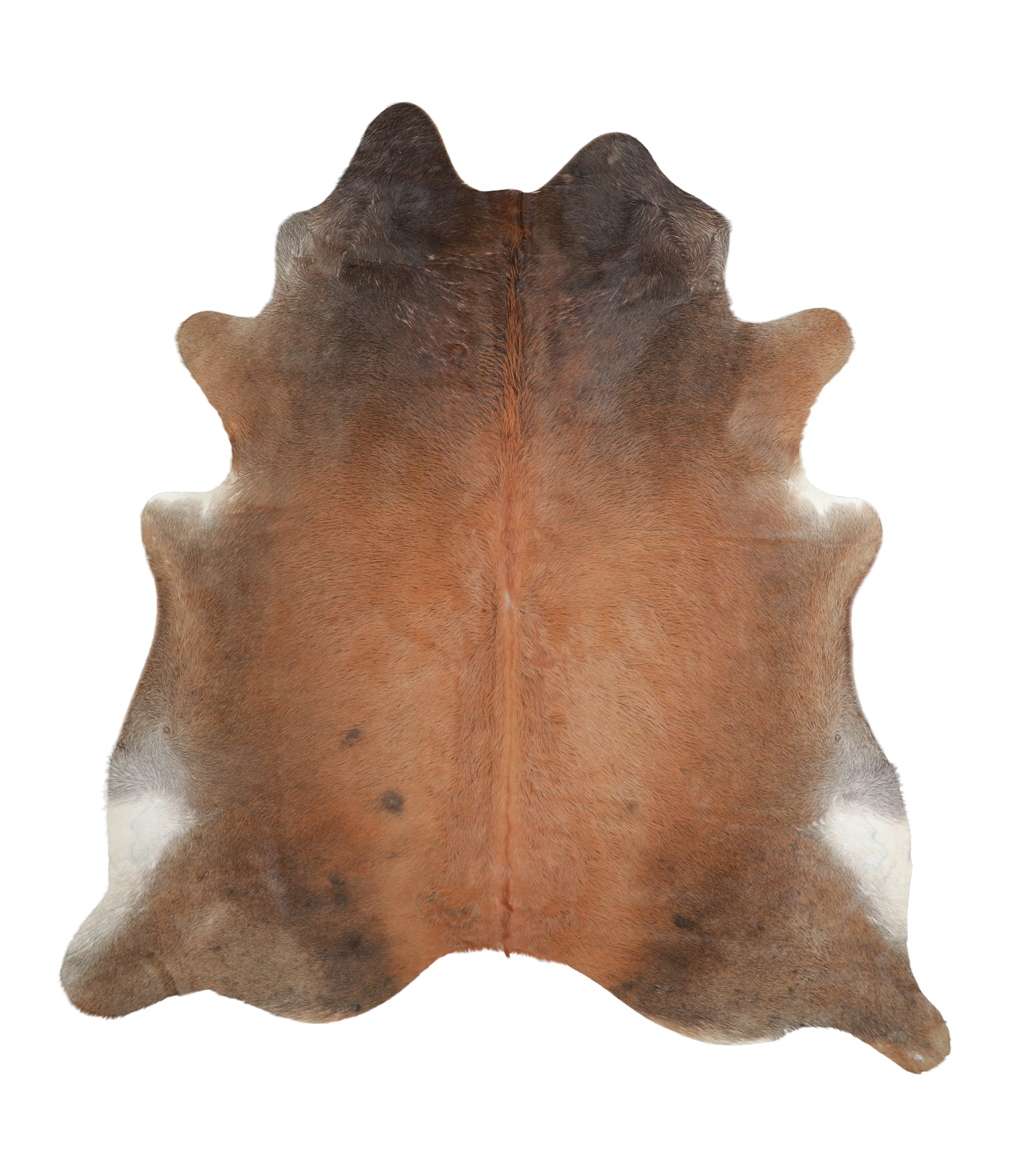 Brown with Red Cowhide Rug #A21168