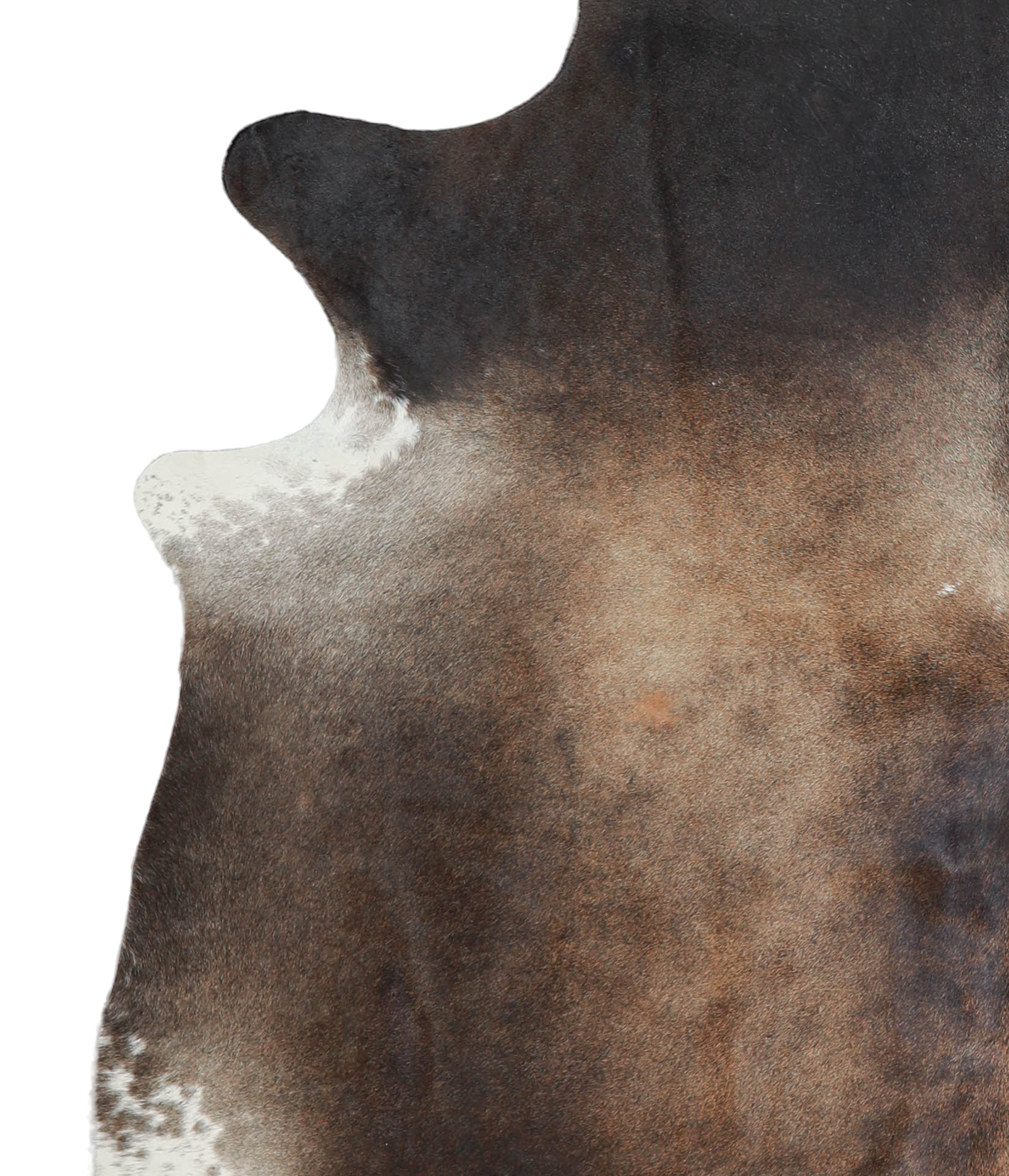 Dark Grey Cowhide Rug #A21218