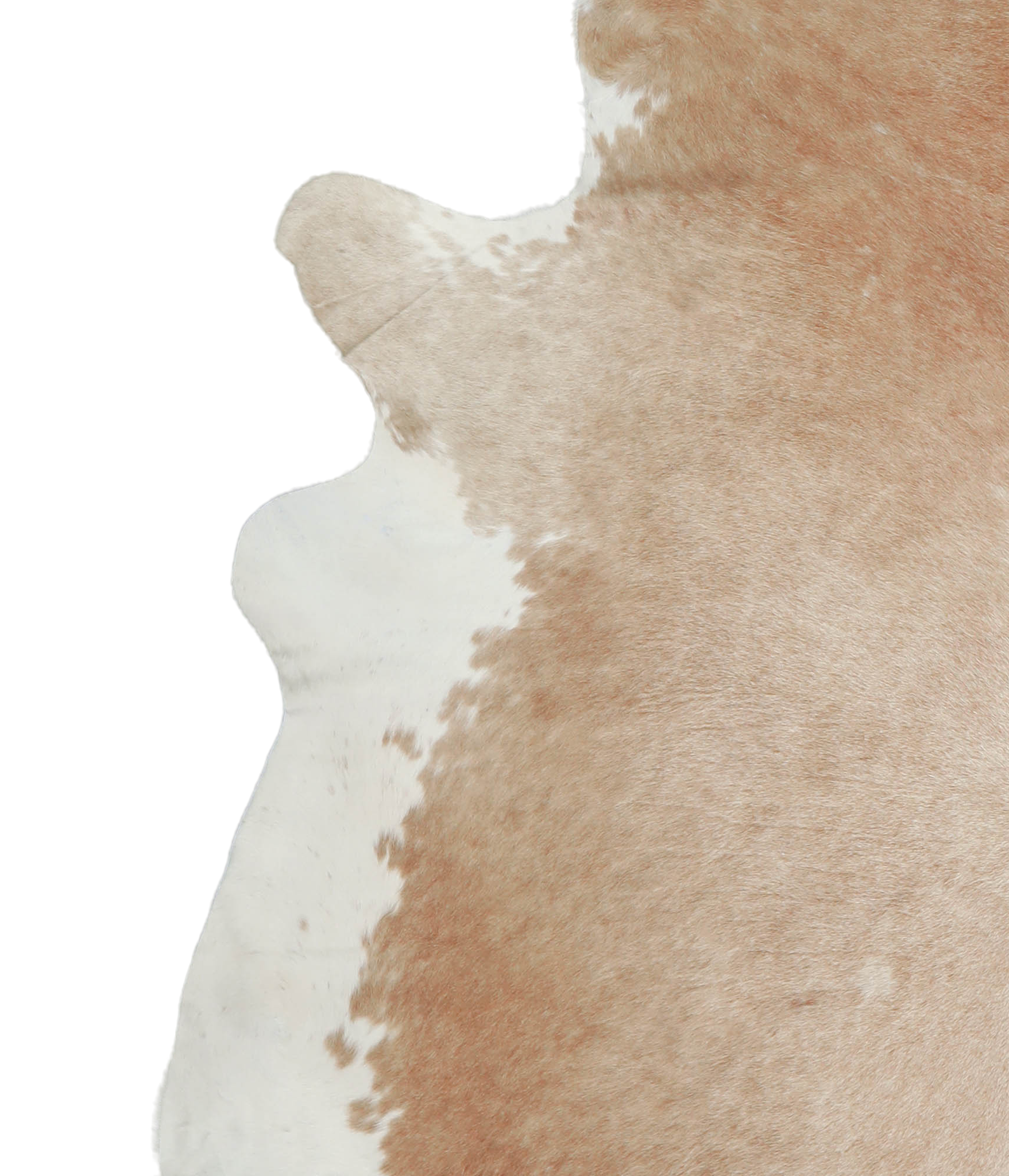 Beige and White Cowhide Rug #A21228