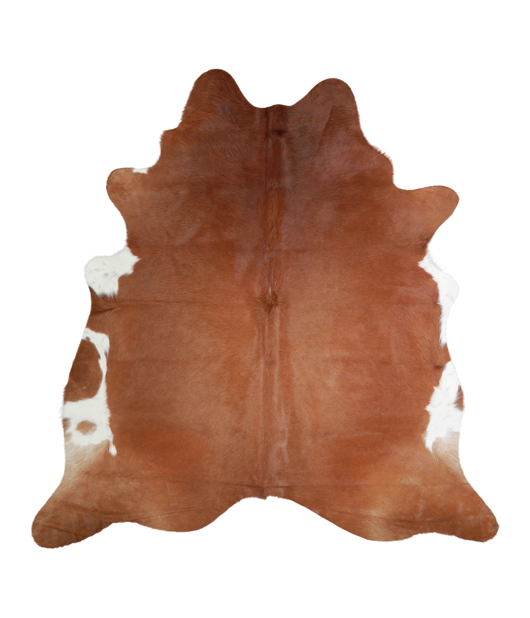 Brown and White Regular Cowhide Rug #A21241