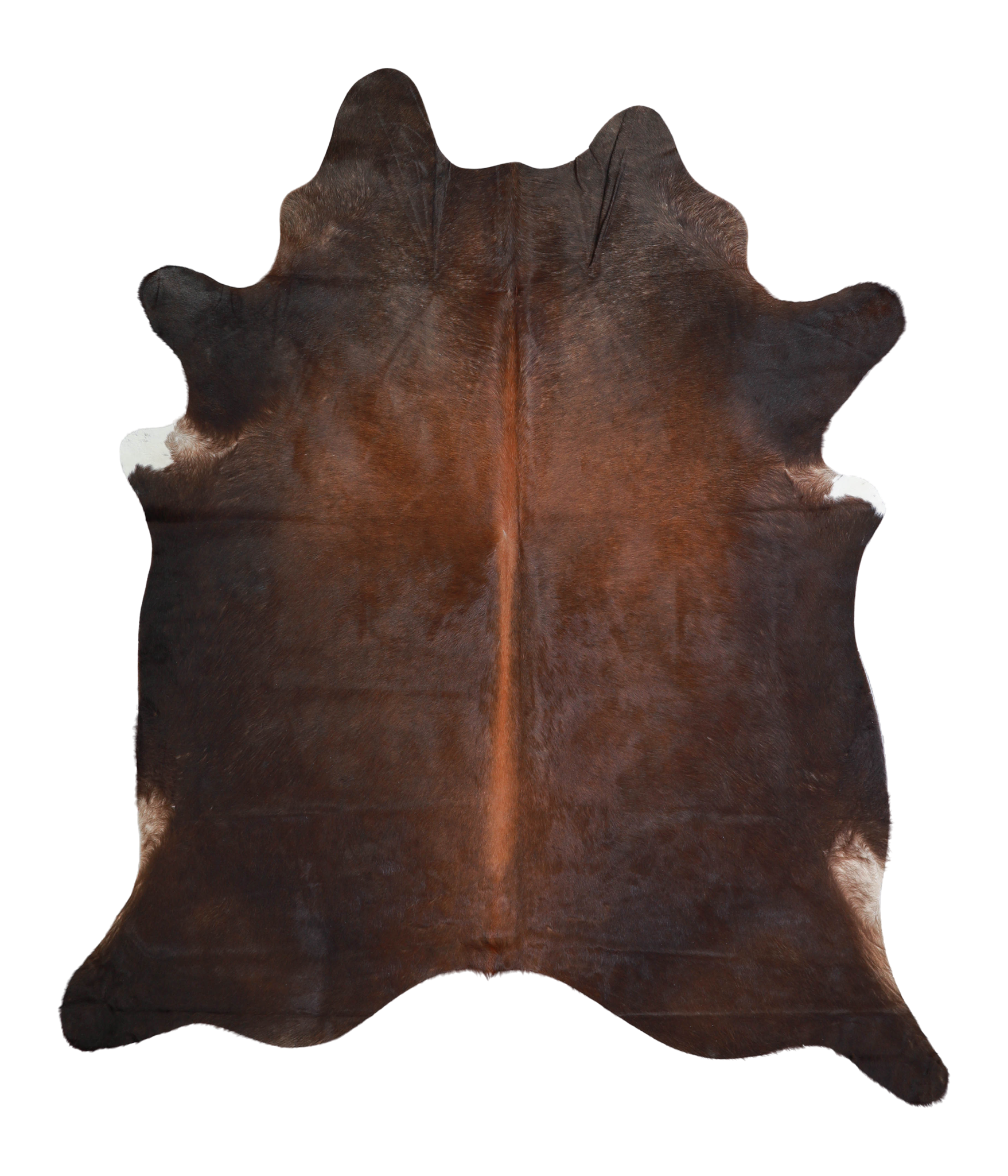 Brown with Red Cowhide Rug #A21242