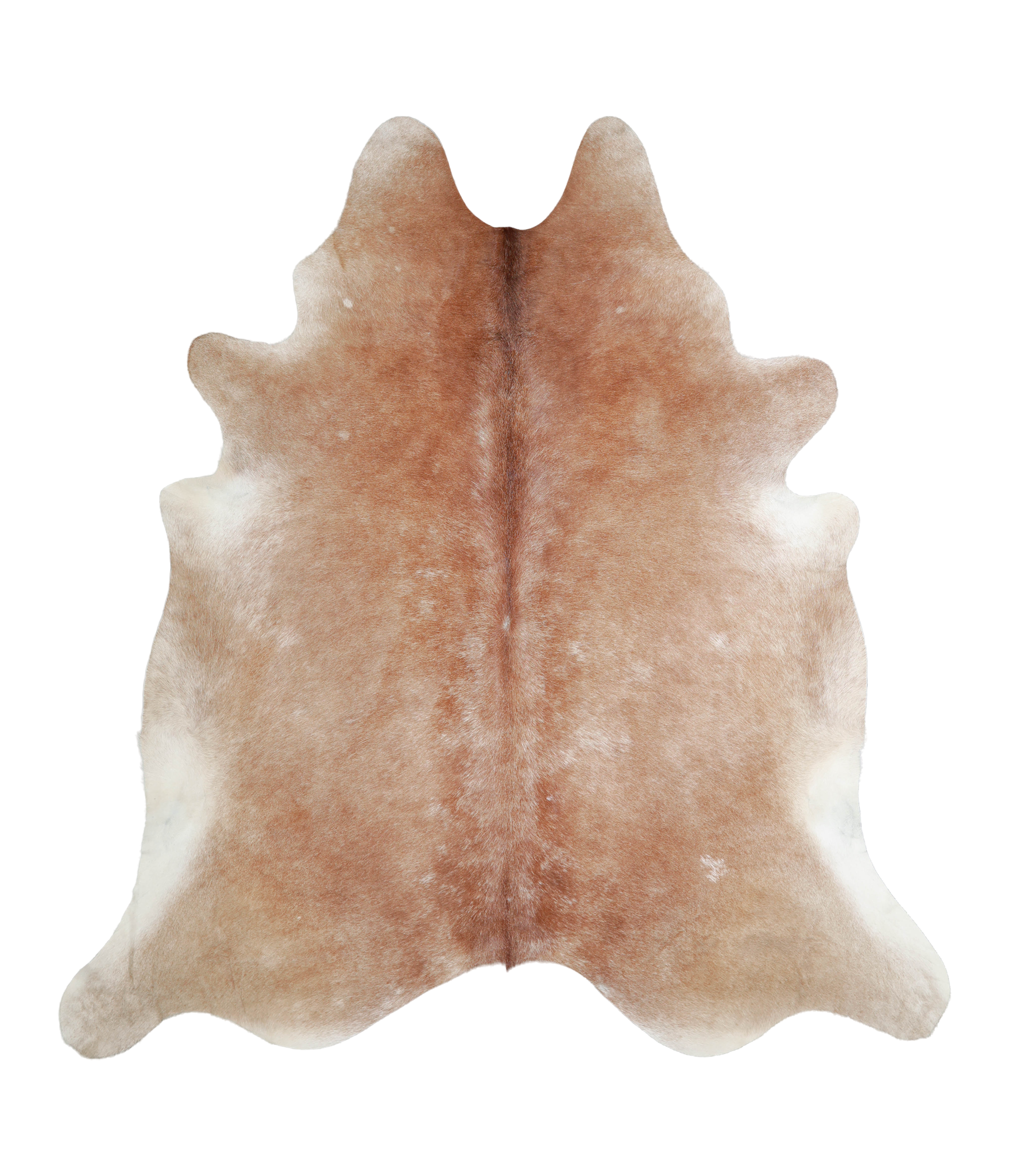 Caramel Cowhide Rug #A21253