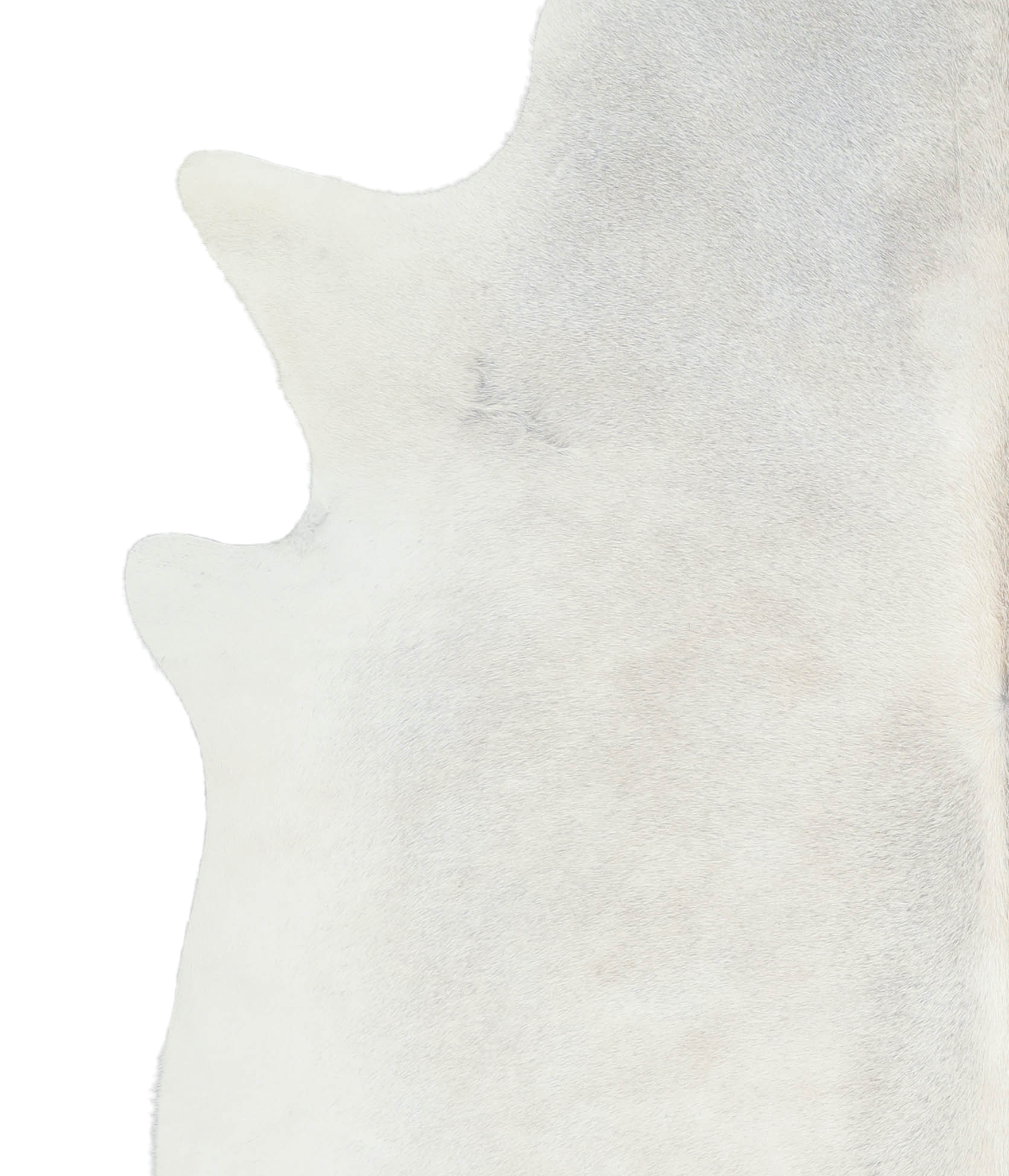 Light Grey Cowhide Rug #A21261