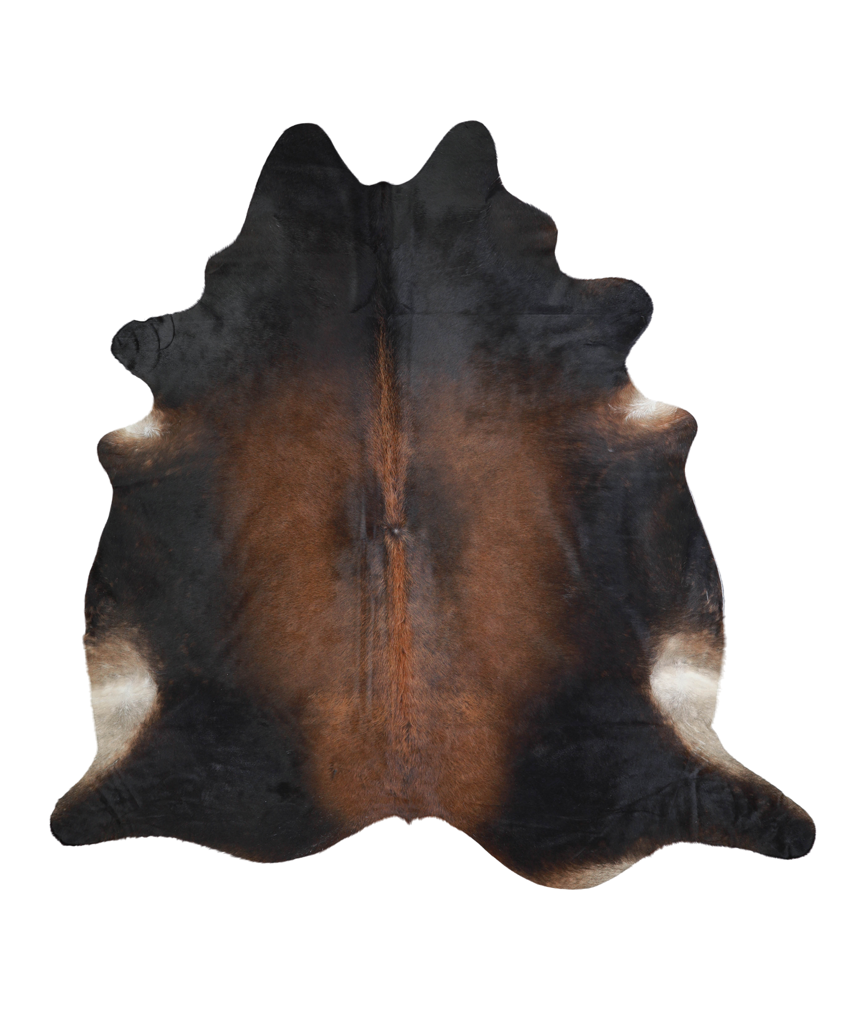 Brown with Red Cowhide Rug #A21272