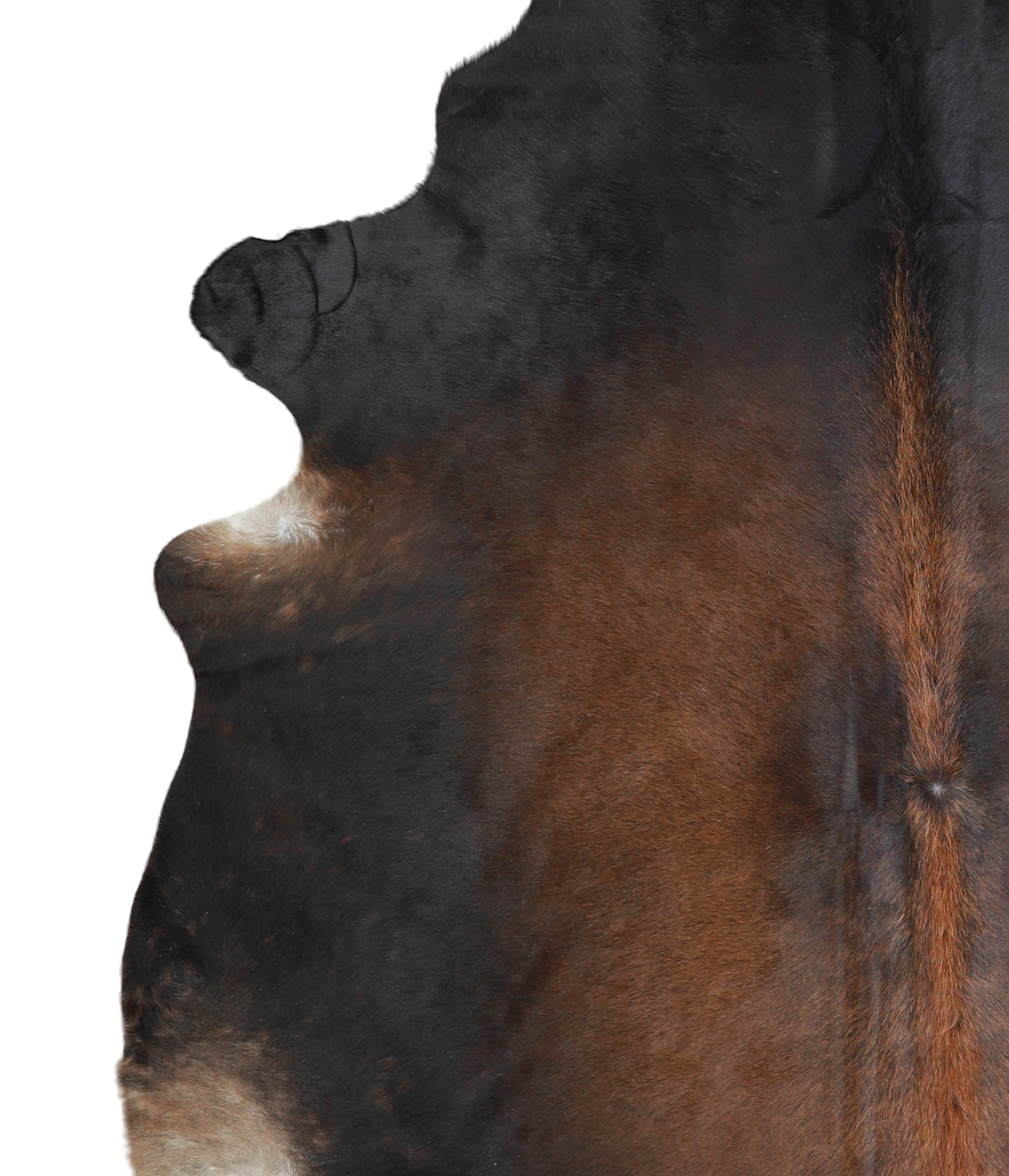 Brown with Red Cowhide Rug #A21272