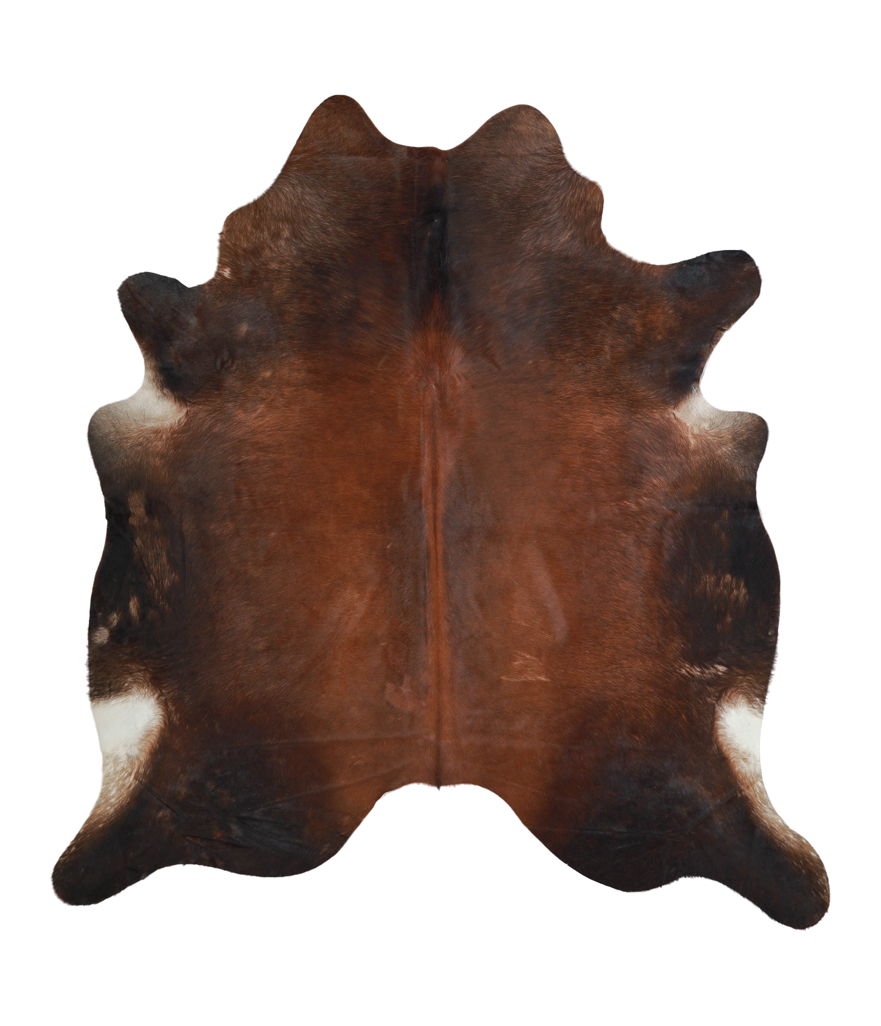 Brown with Red Cowhide Rug #A21275