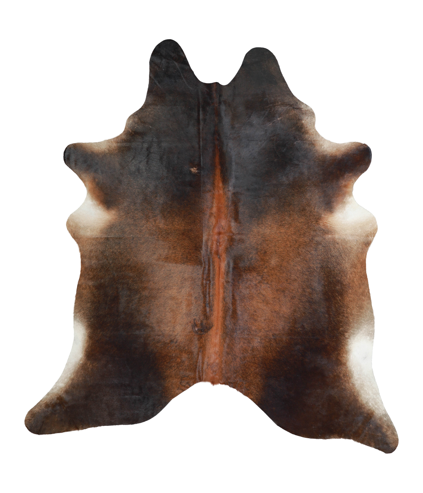 Brown with Red Cowhide Rug #A21280