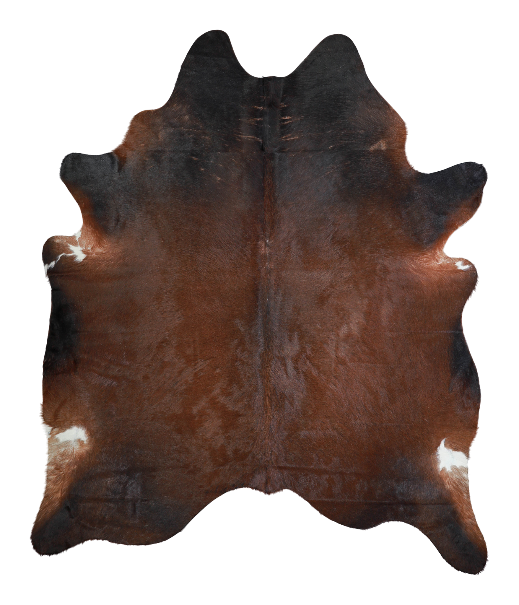 Brown with Red Cowhide Rug #A21286