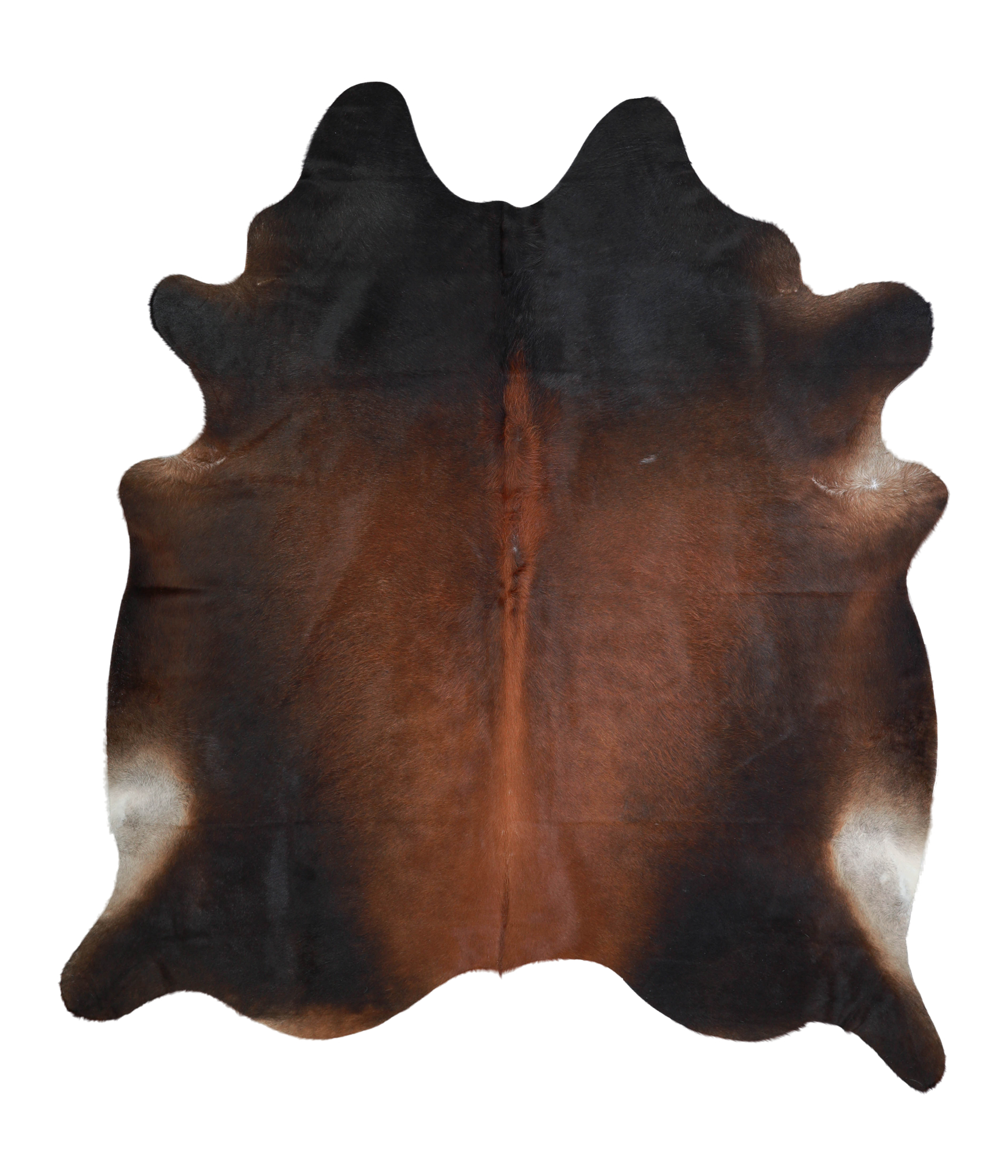 Brown with Red Cowhide Rug #A21295