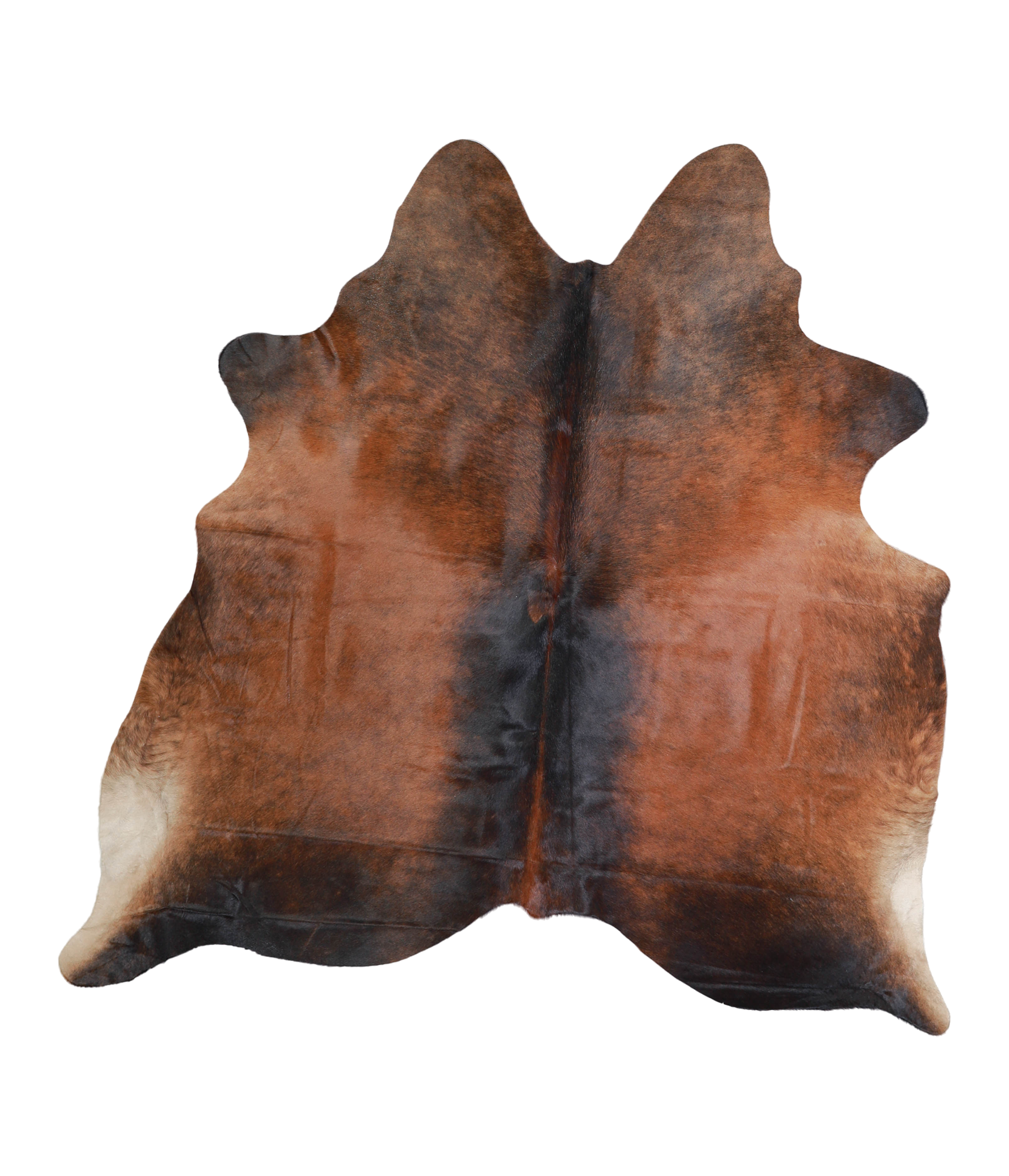 Brown with Red Cowhide Rug #A21310