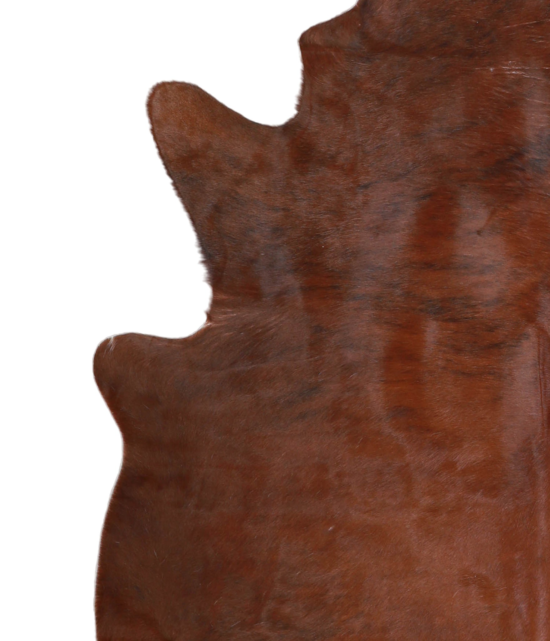 Medium Brindle Cowhide Rug #A21328