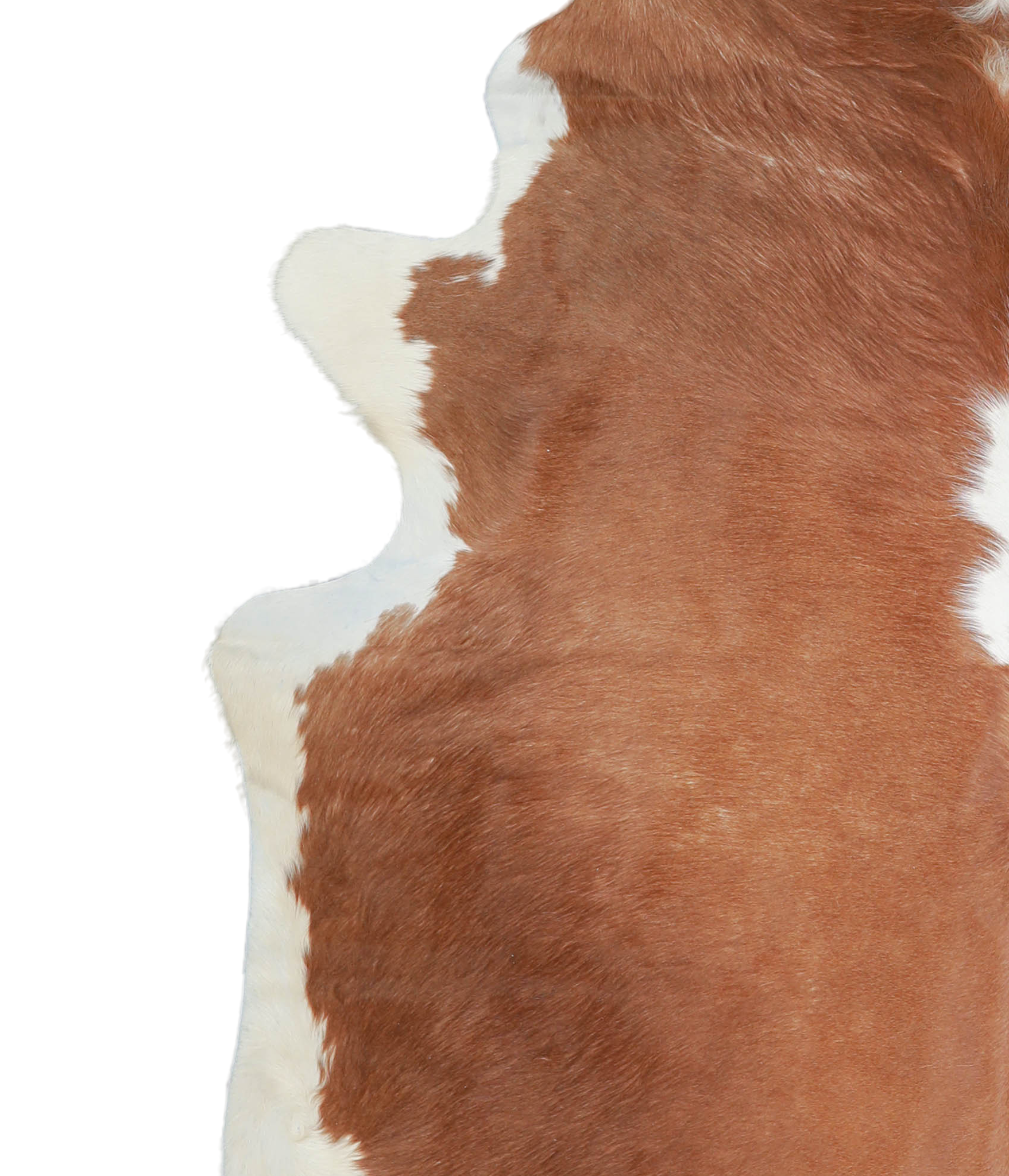 Brown and White Cowhide Rug #A21413