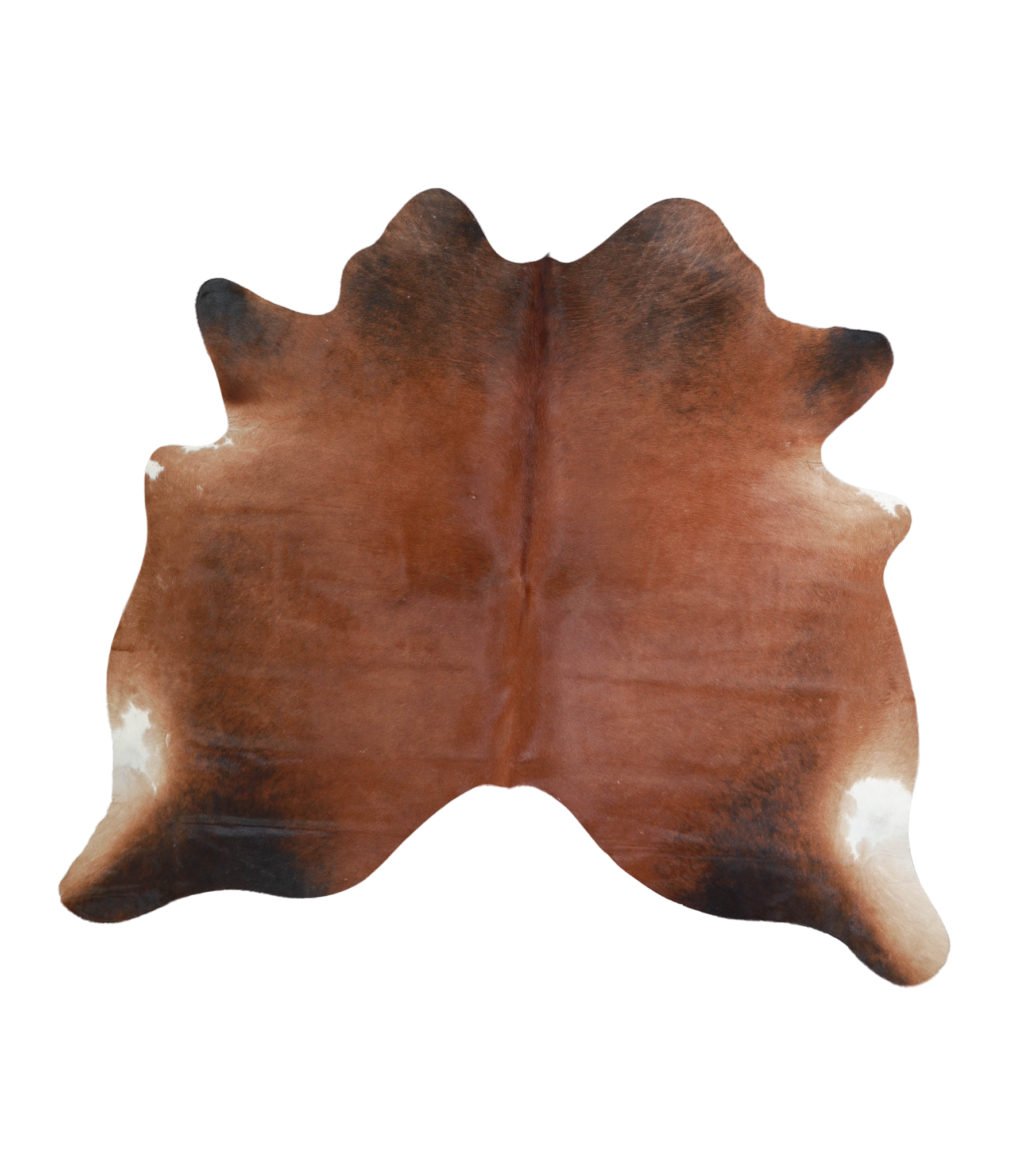 Brown with Red Cowhide Rug #A21417