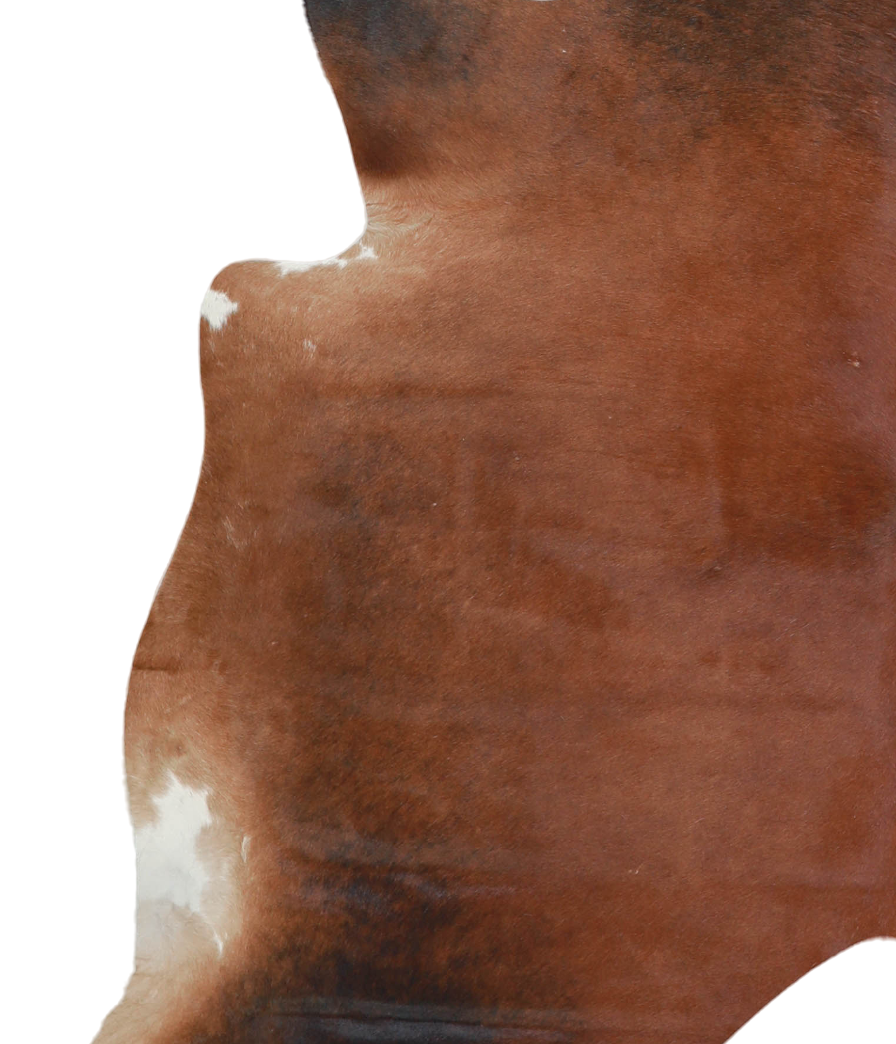 Brown with Red Cowhide Rug #A21417