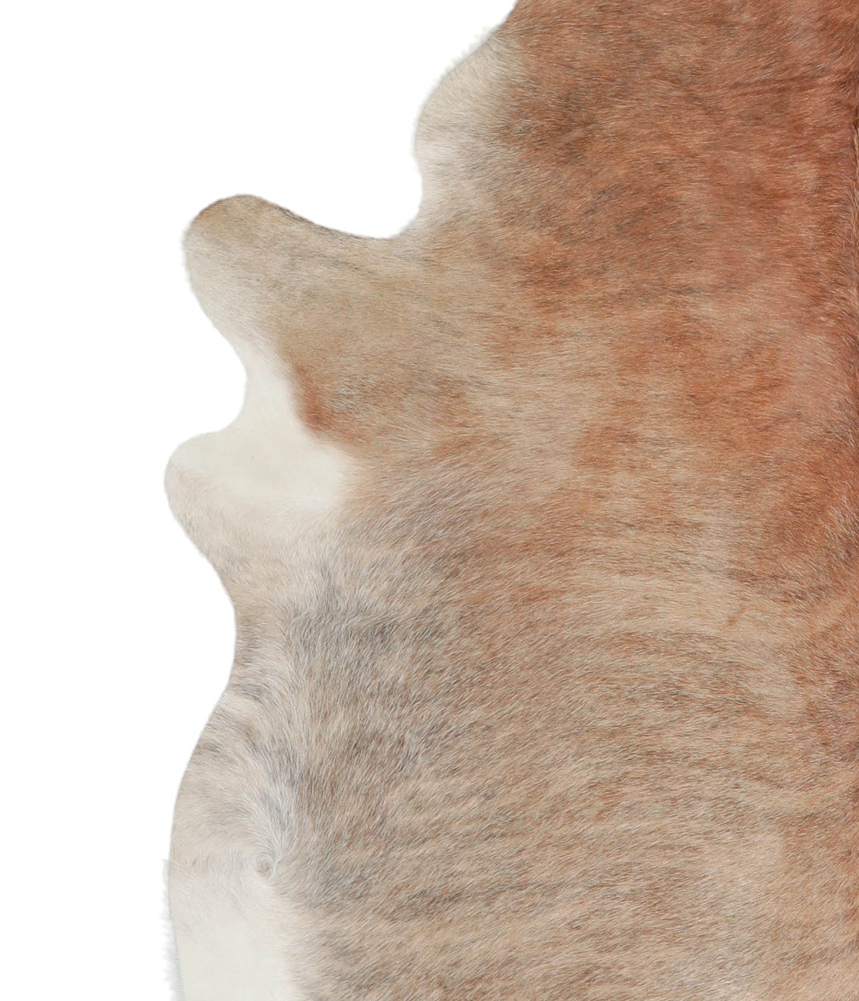 Light Brindle Cowhide Rug #A21430