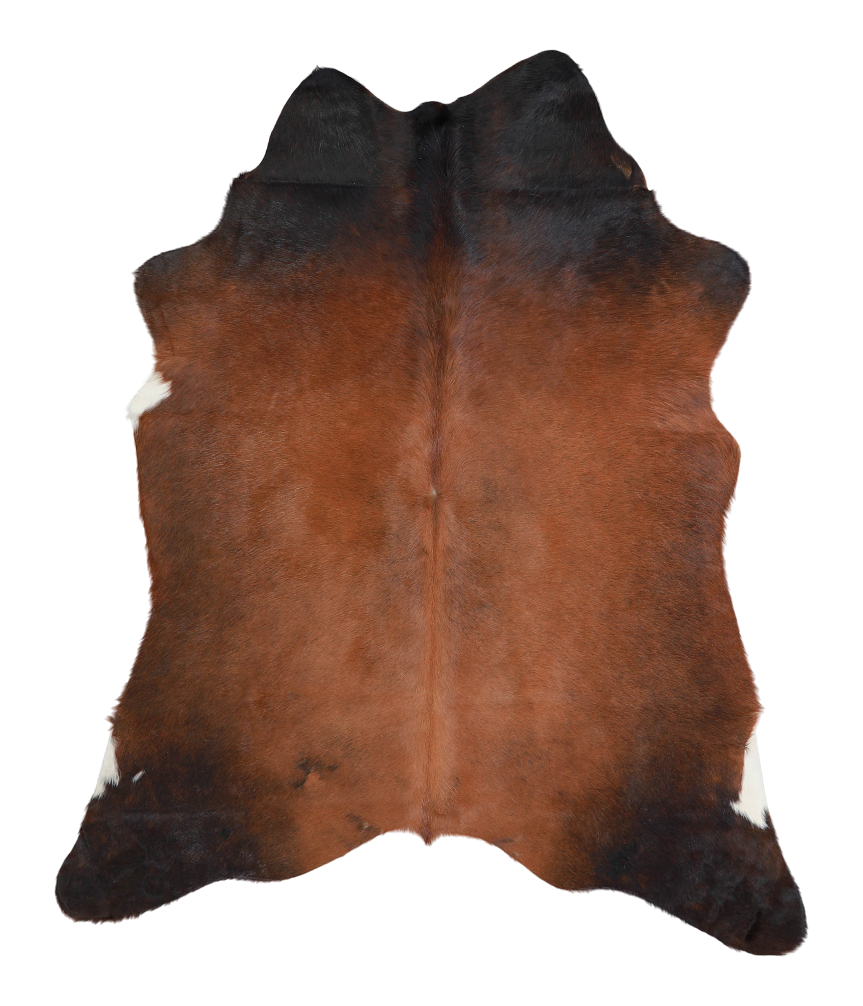 Brown with Red Cowhide Rug #A21452