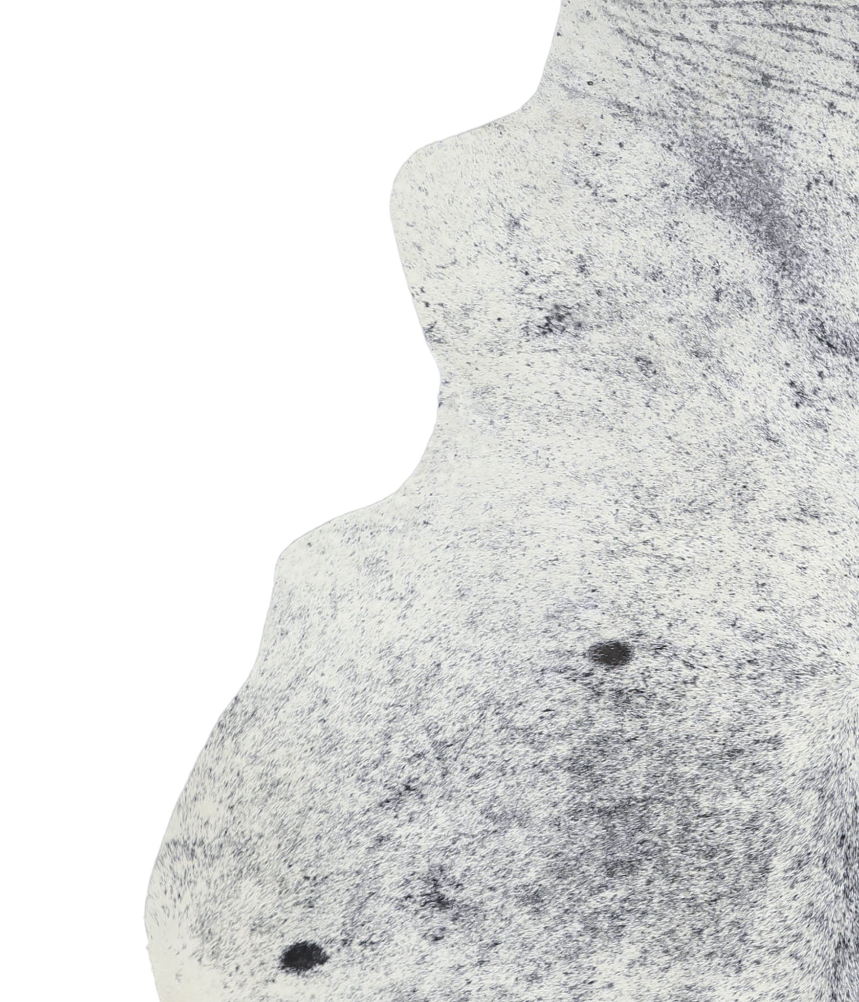 Salt and Pepper Black Cowhide Rug #A21490