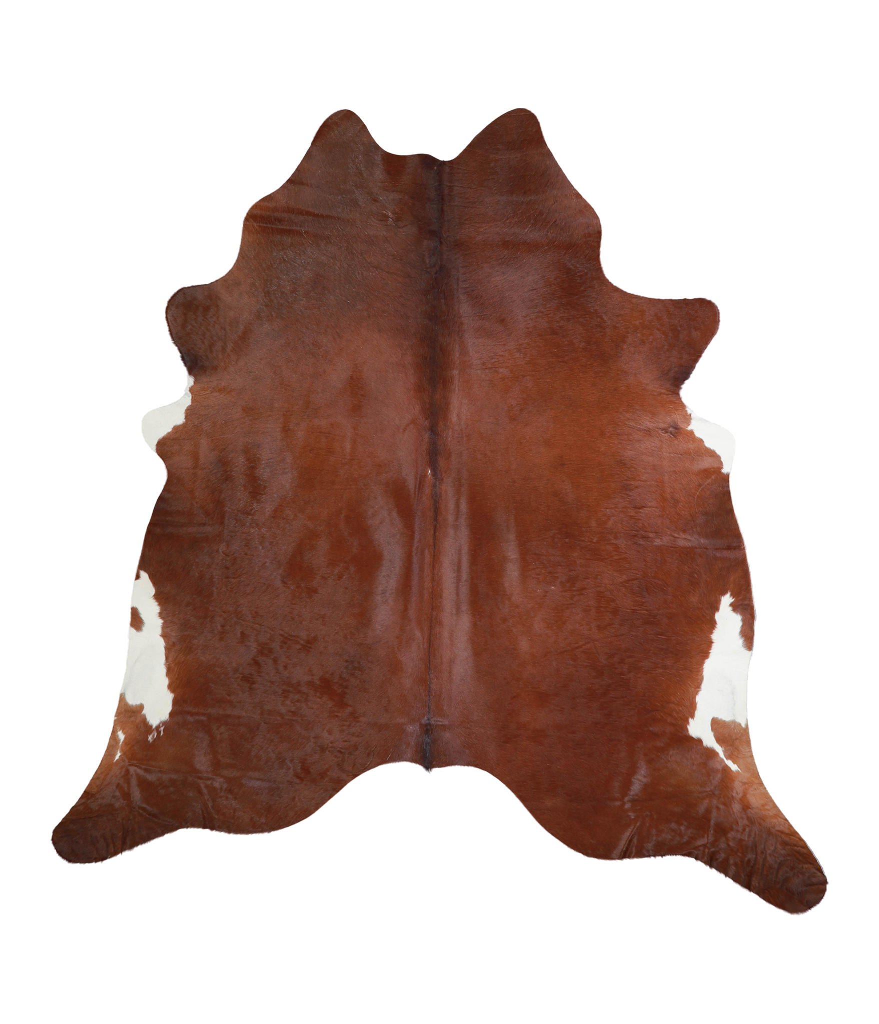 Solid Brown Cowhide Rug #A21519