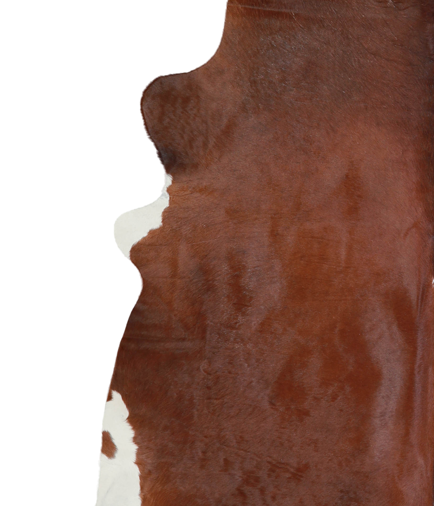 Solid Brown Cowhide Rug #A21519