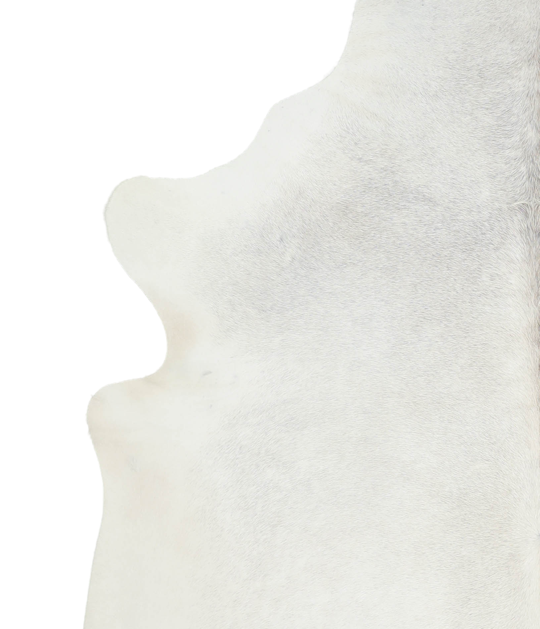 Light Grey Cowhide Rug #A21532