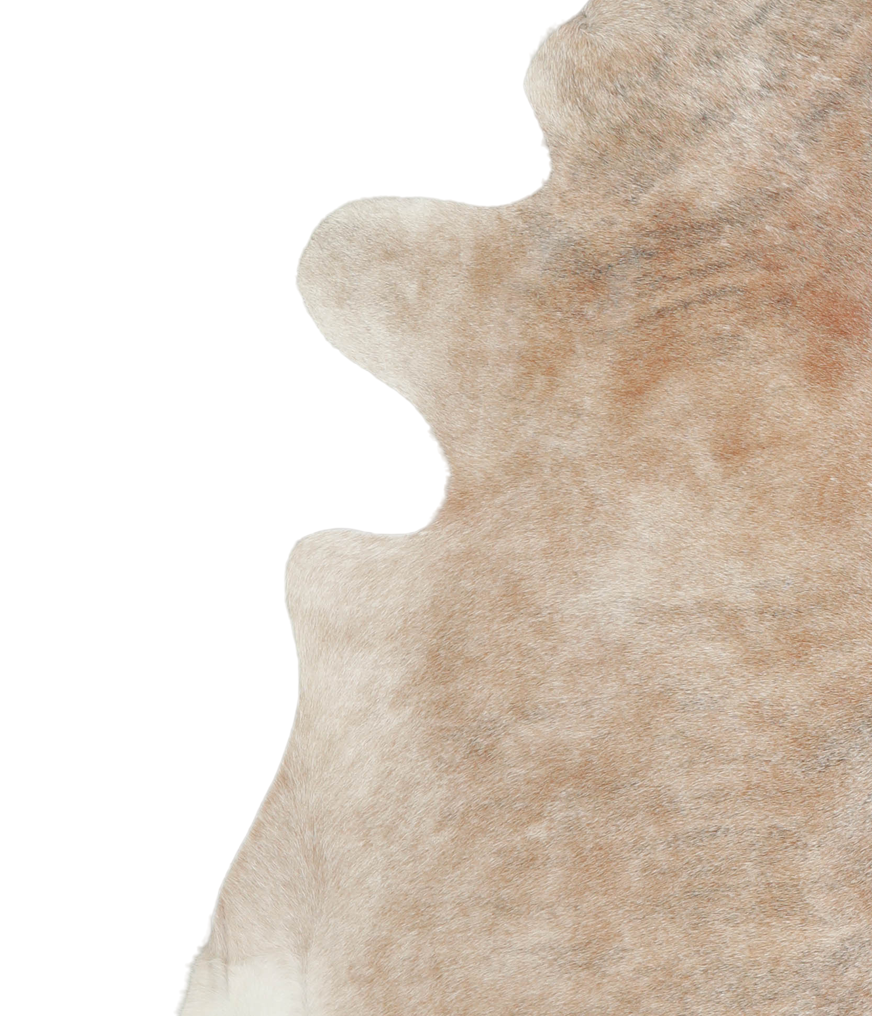 Caramel Cowhide Rug #A21544