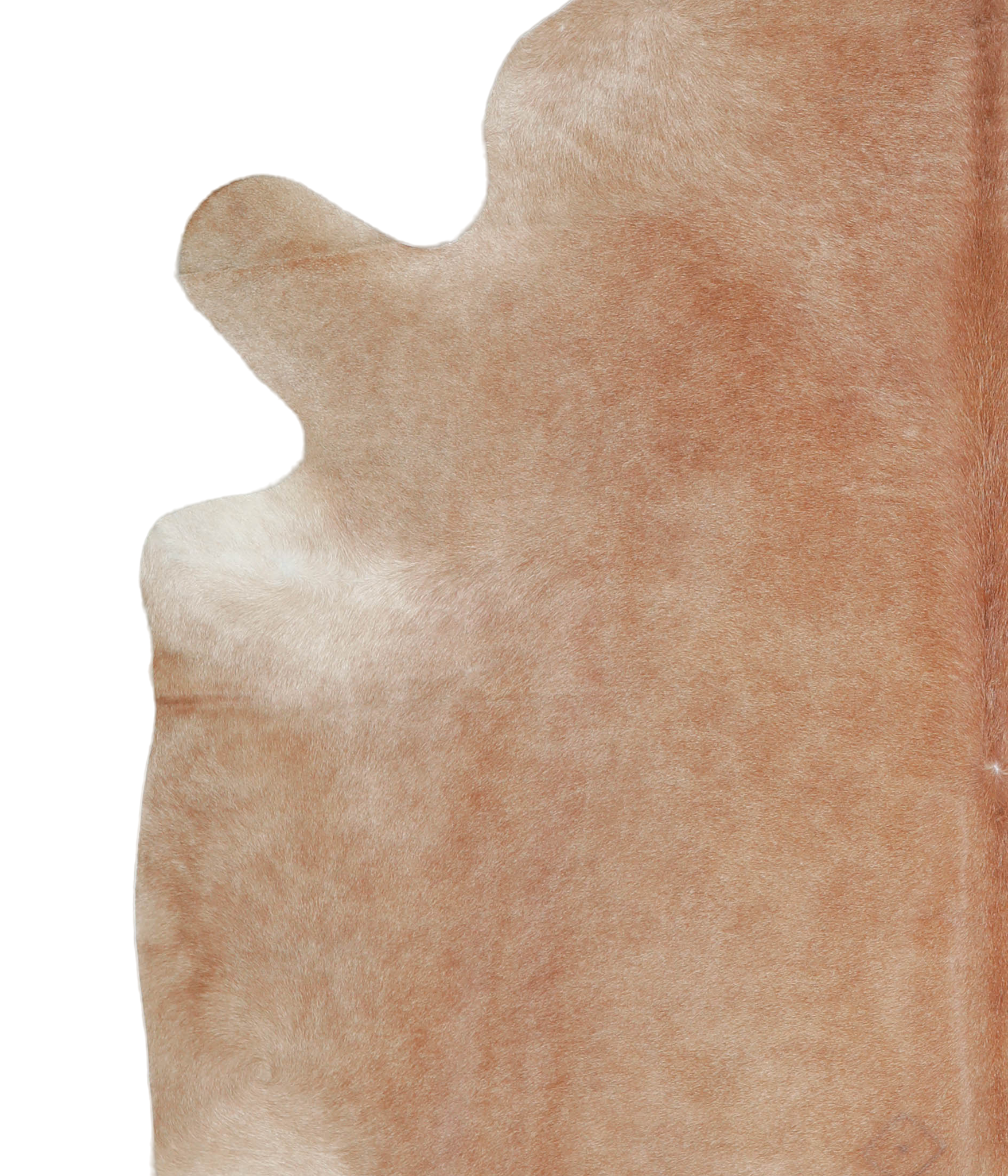 Beige Cowhide Rug #A21553