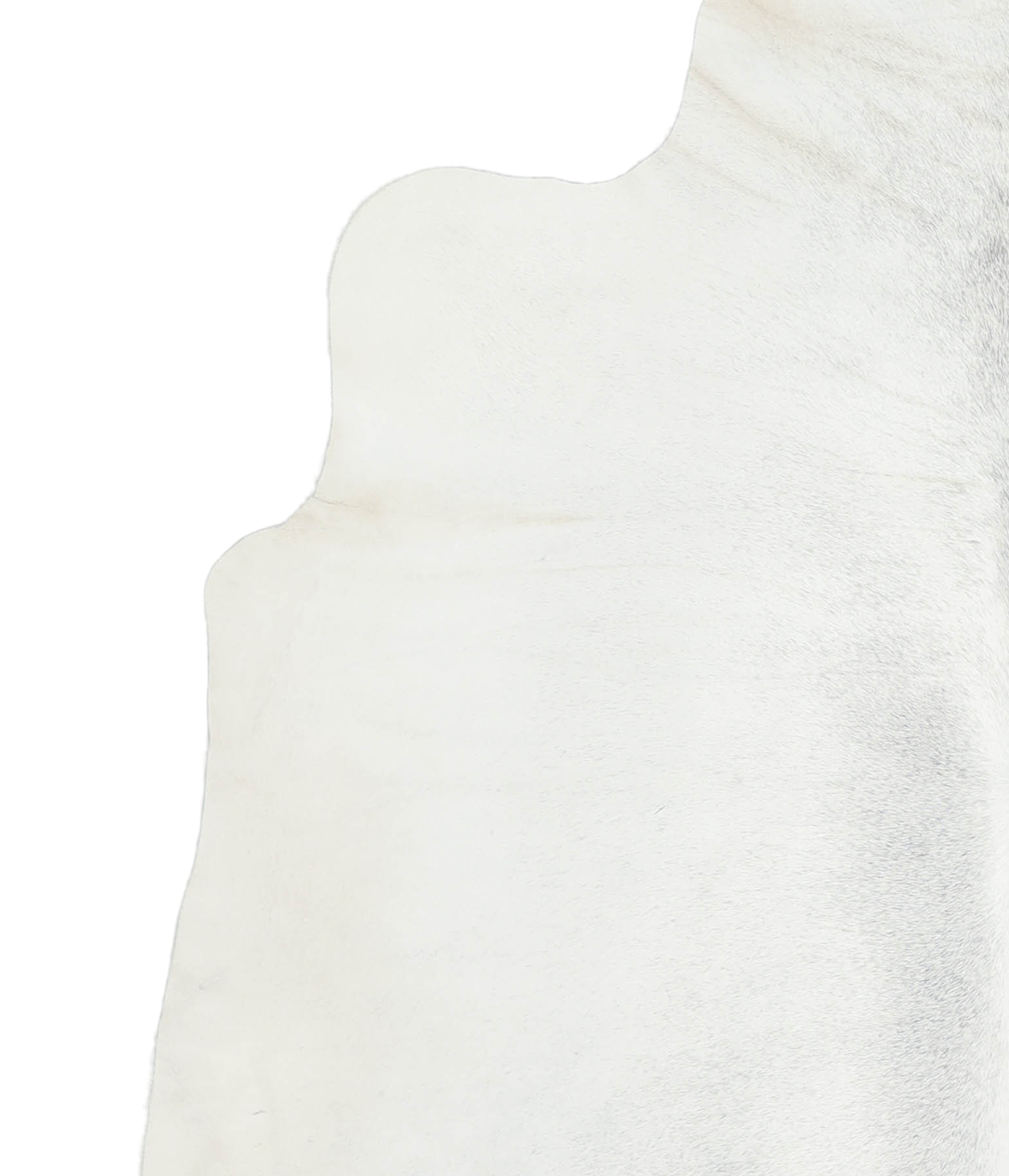 Light Grey Cowhide Rug #A21598