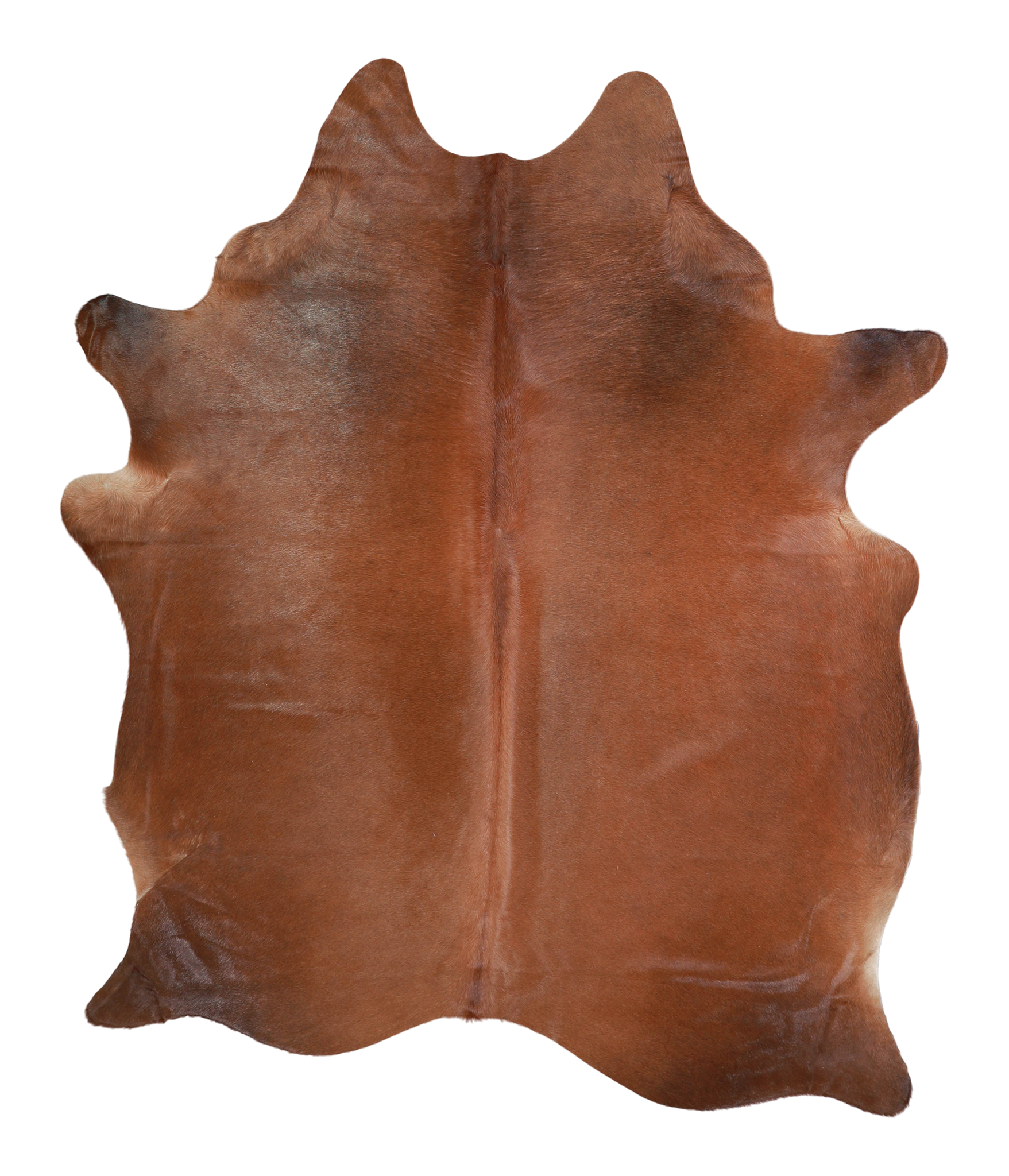 Solid Brown Cowhide Rug #A21612