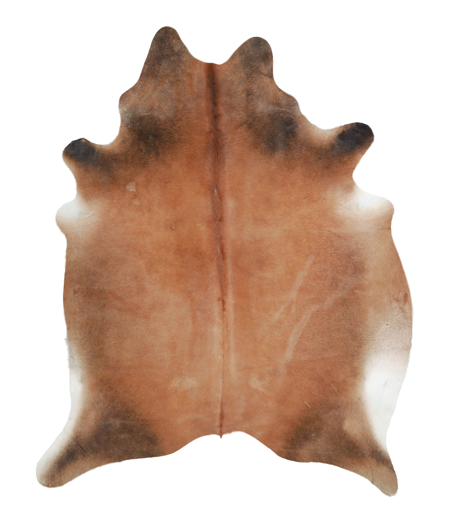 Brown with Red Cowhide Rug #A21618