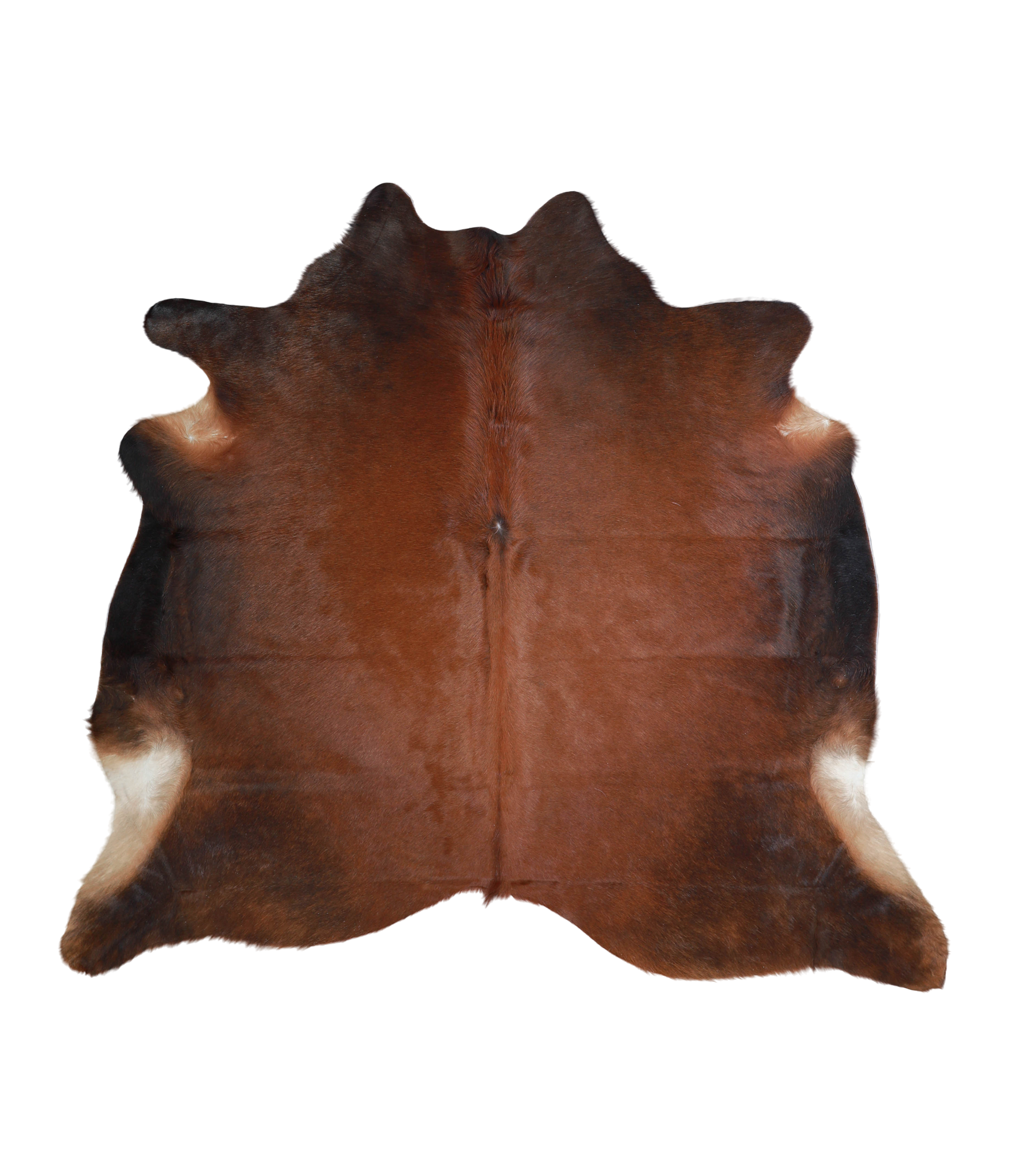 Brown with Red Cowhide Rug #A21623