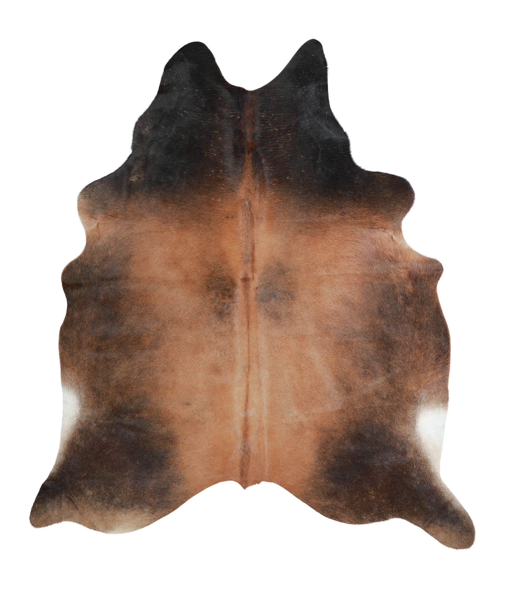 Brown with Red Cowhide Rug #A21646