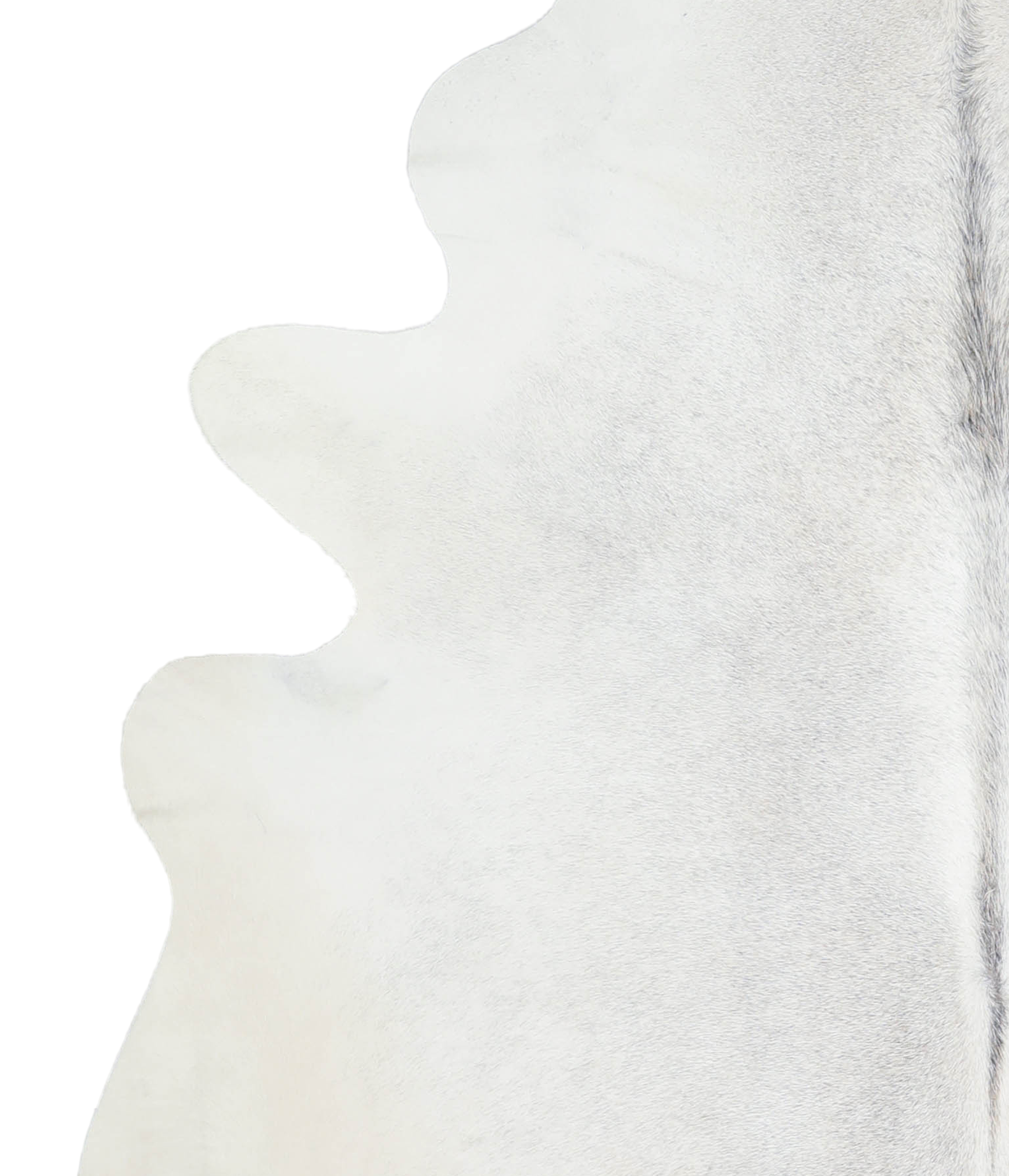 Light Grey Cowhide Rug #A21652