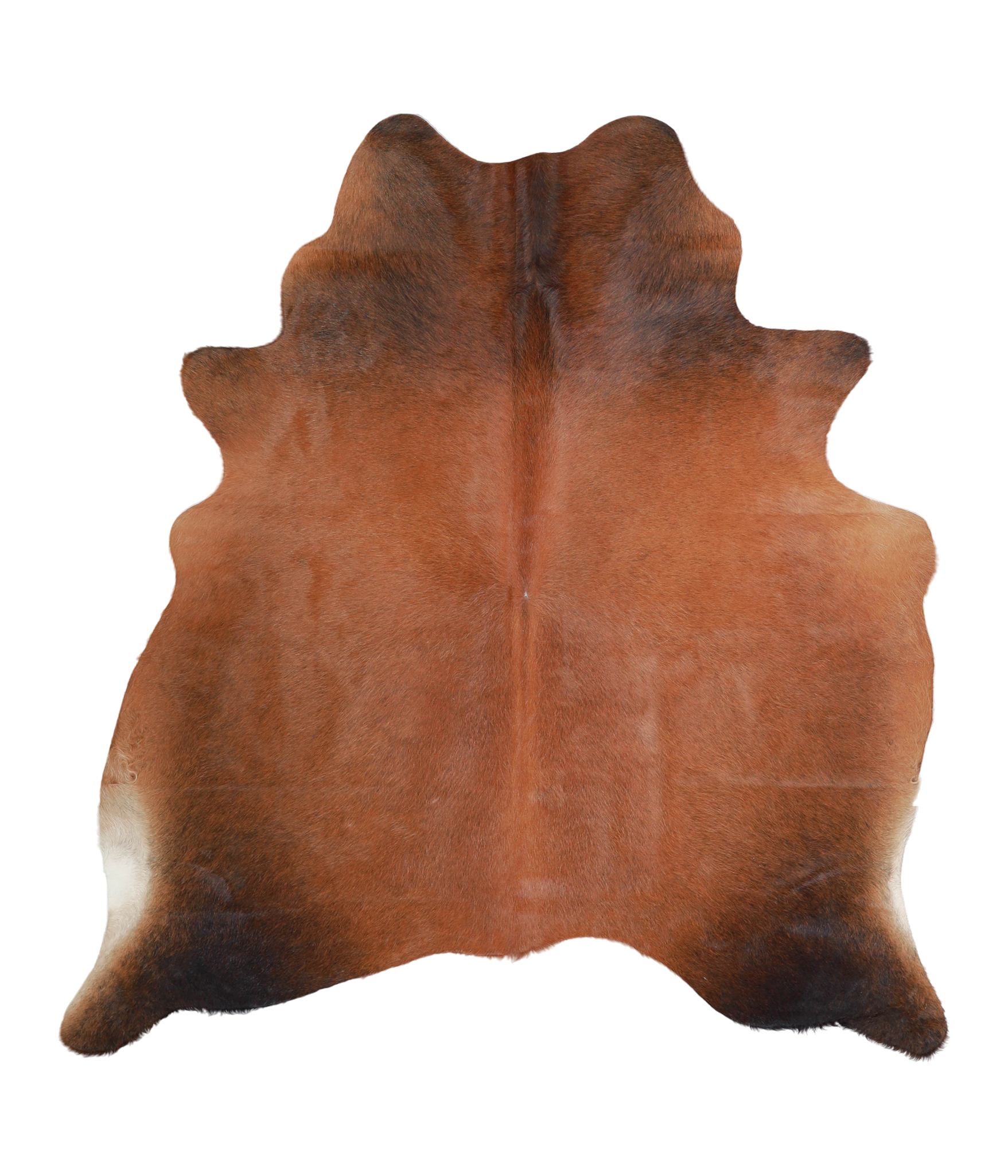 Brown with Red Cowhide Rug #A21666