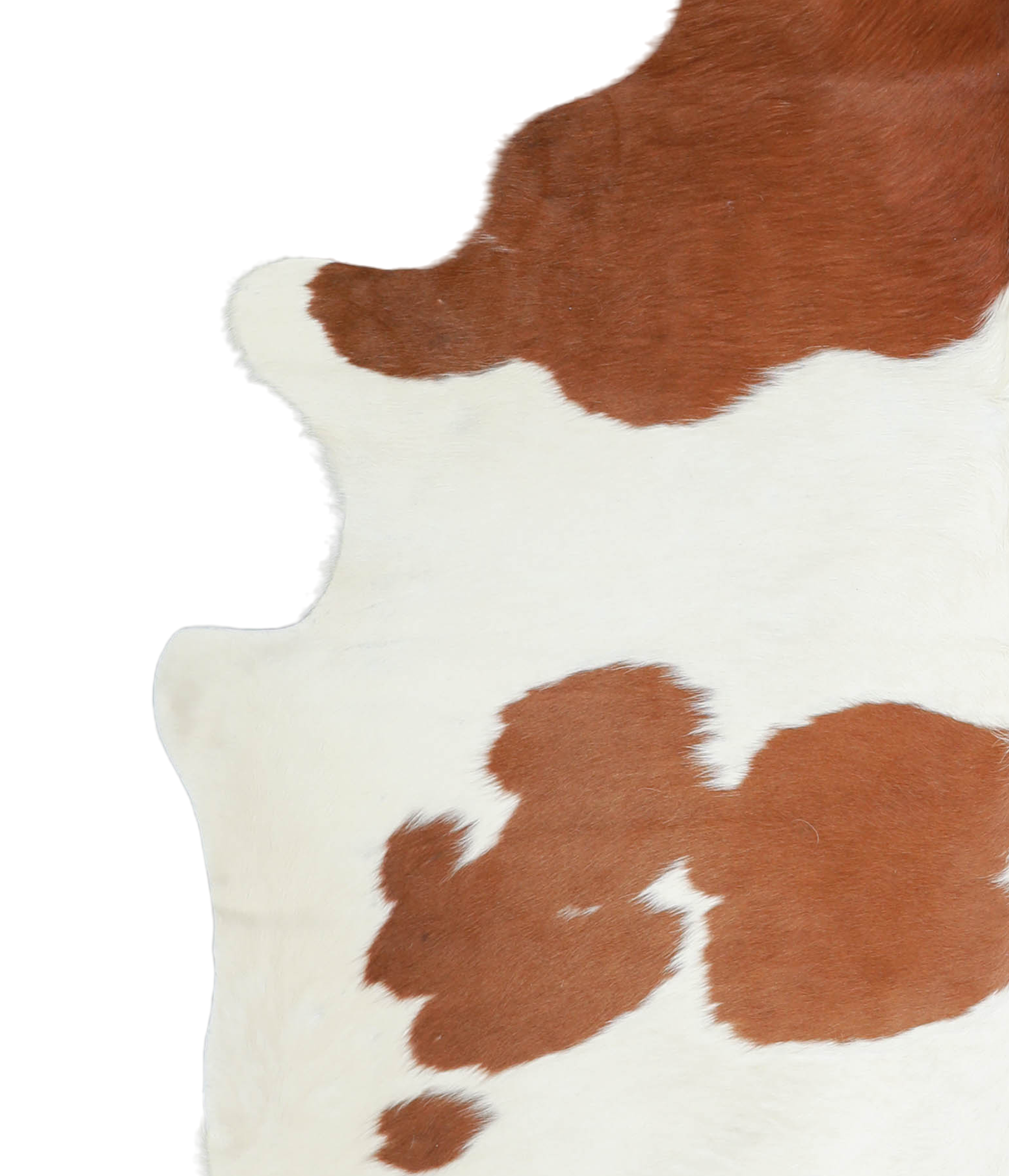 Brown and White Cowhide Rug #A21725